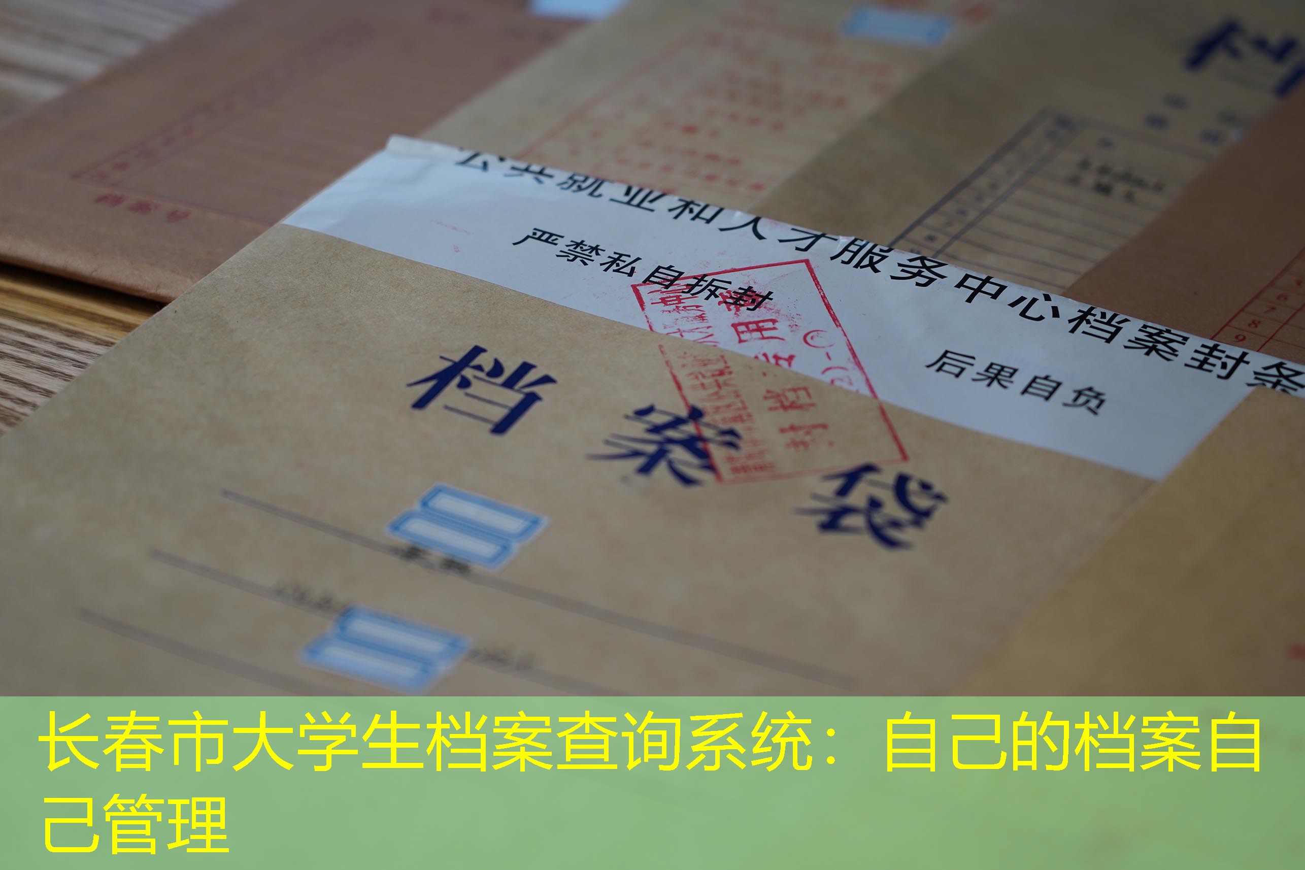 档案查询