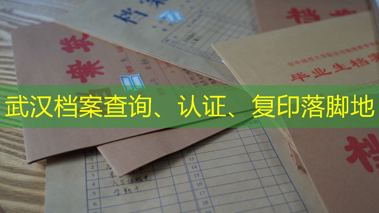 档案查询
