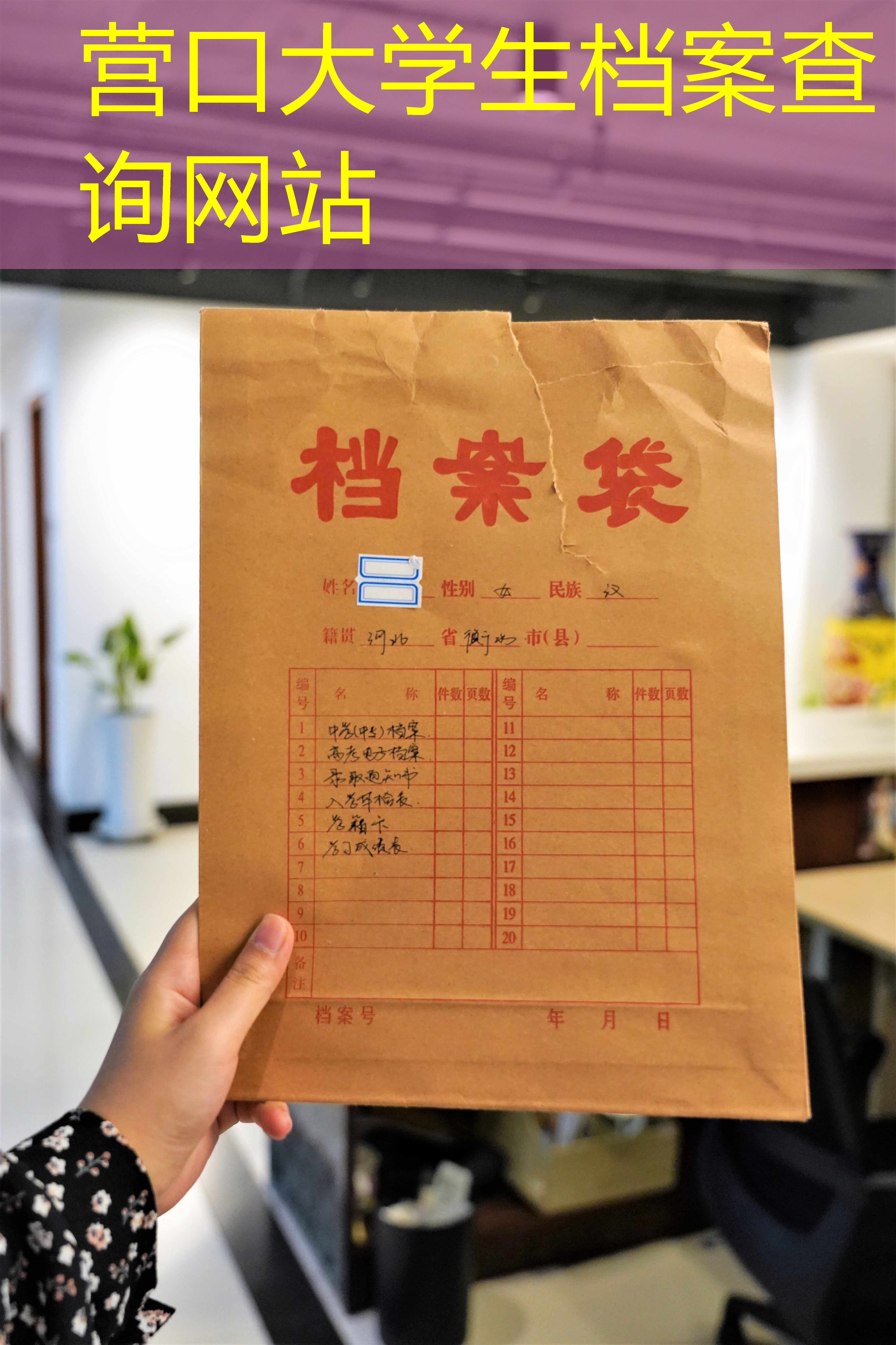 档案查询