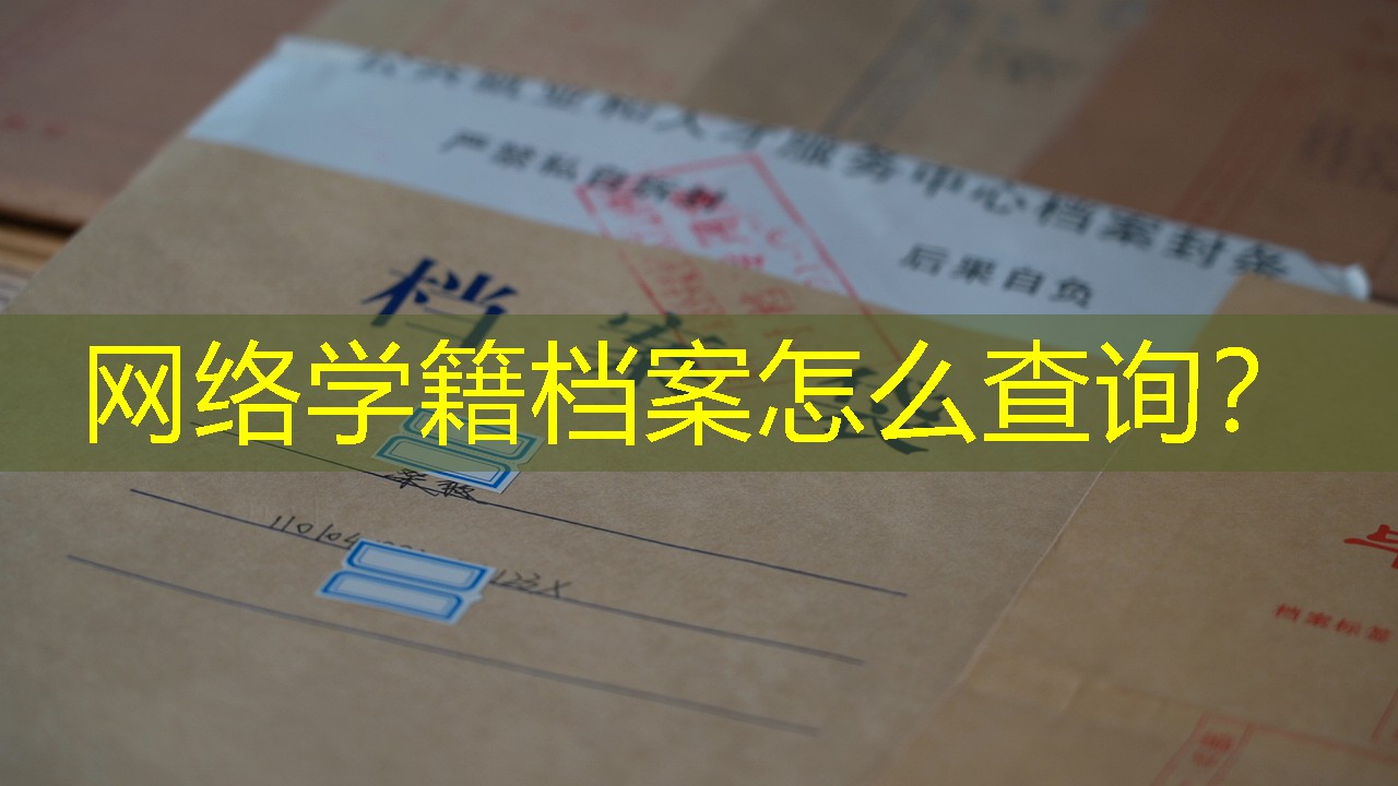 档案查询