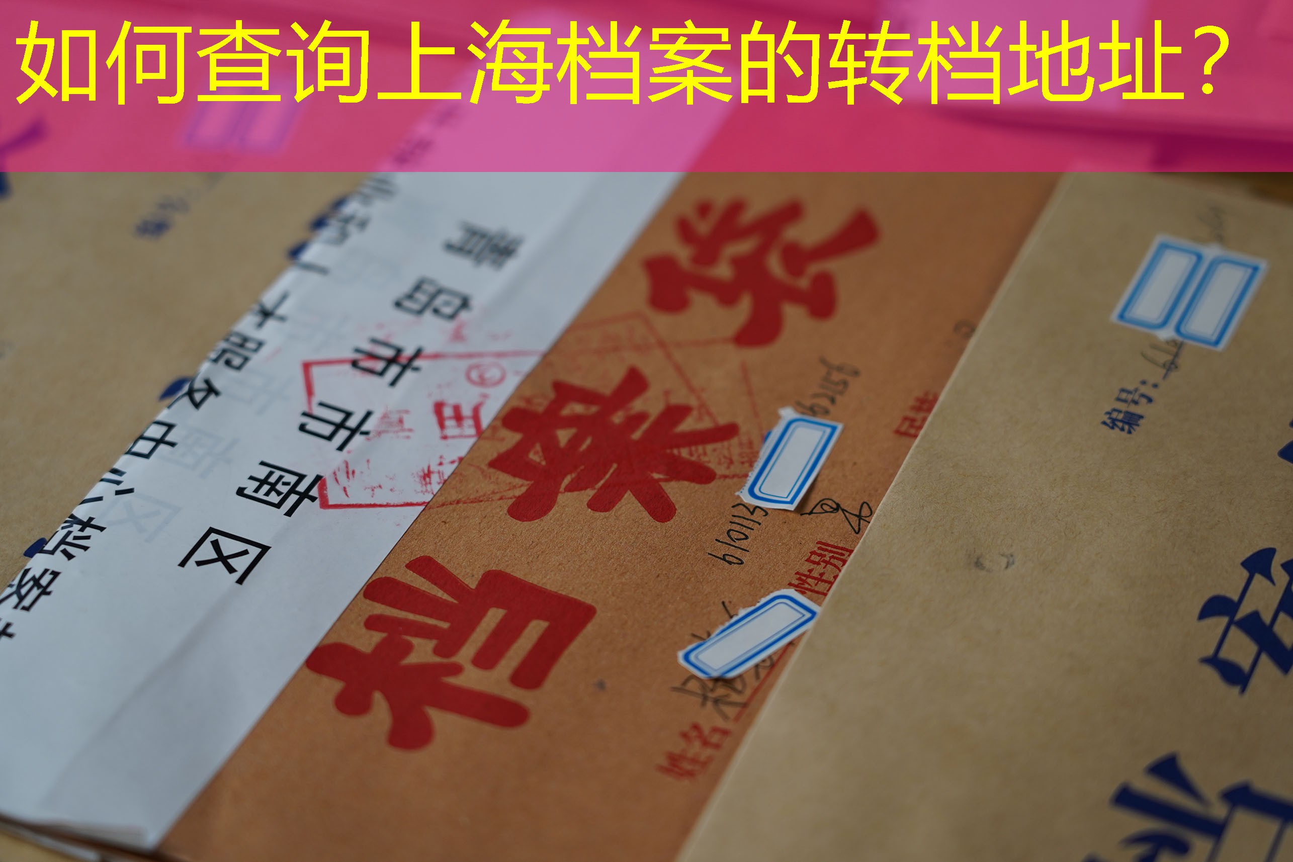 档案查询