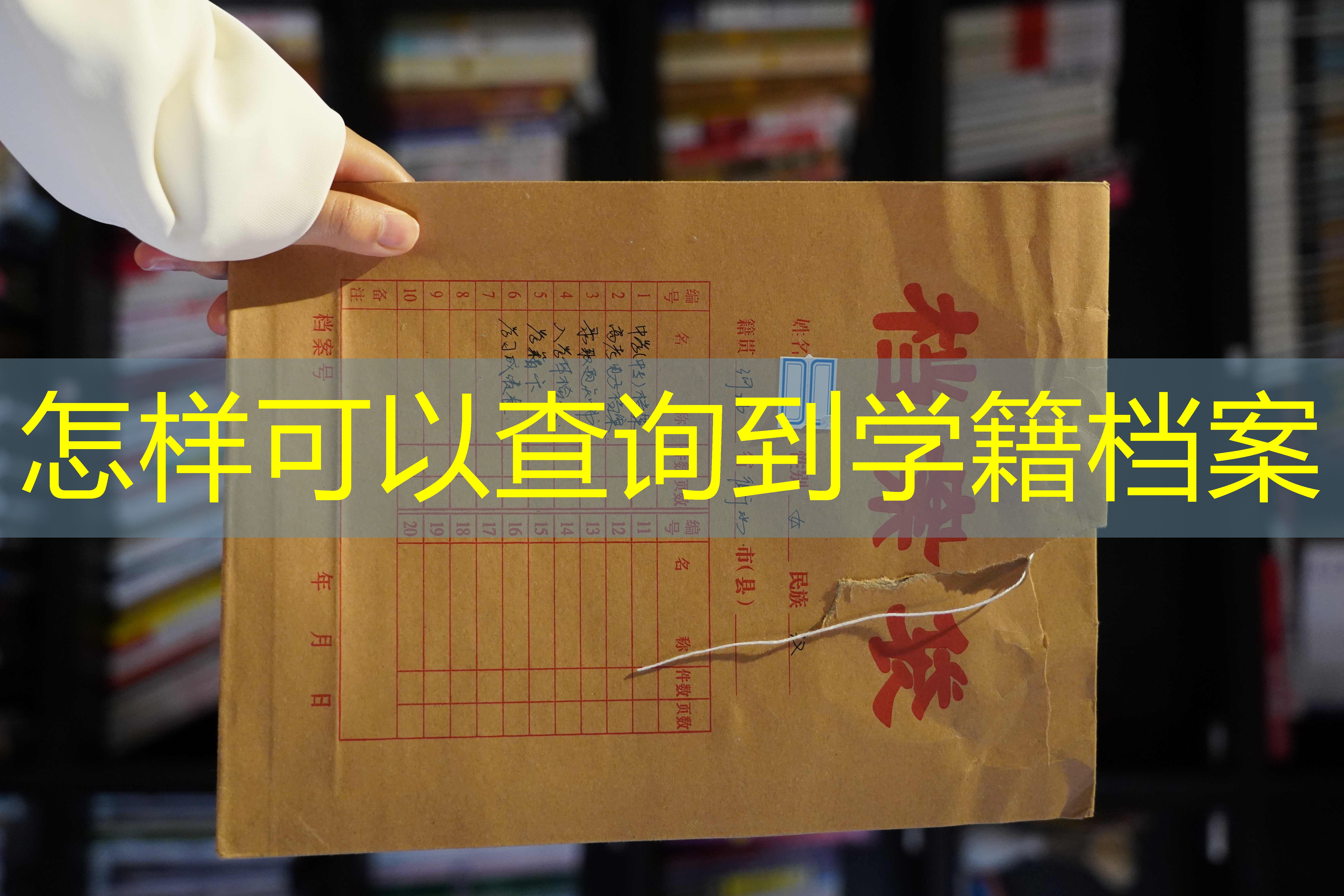 档案查询