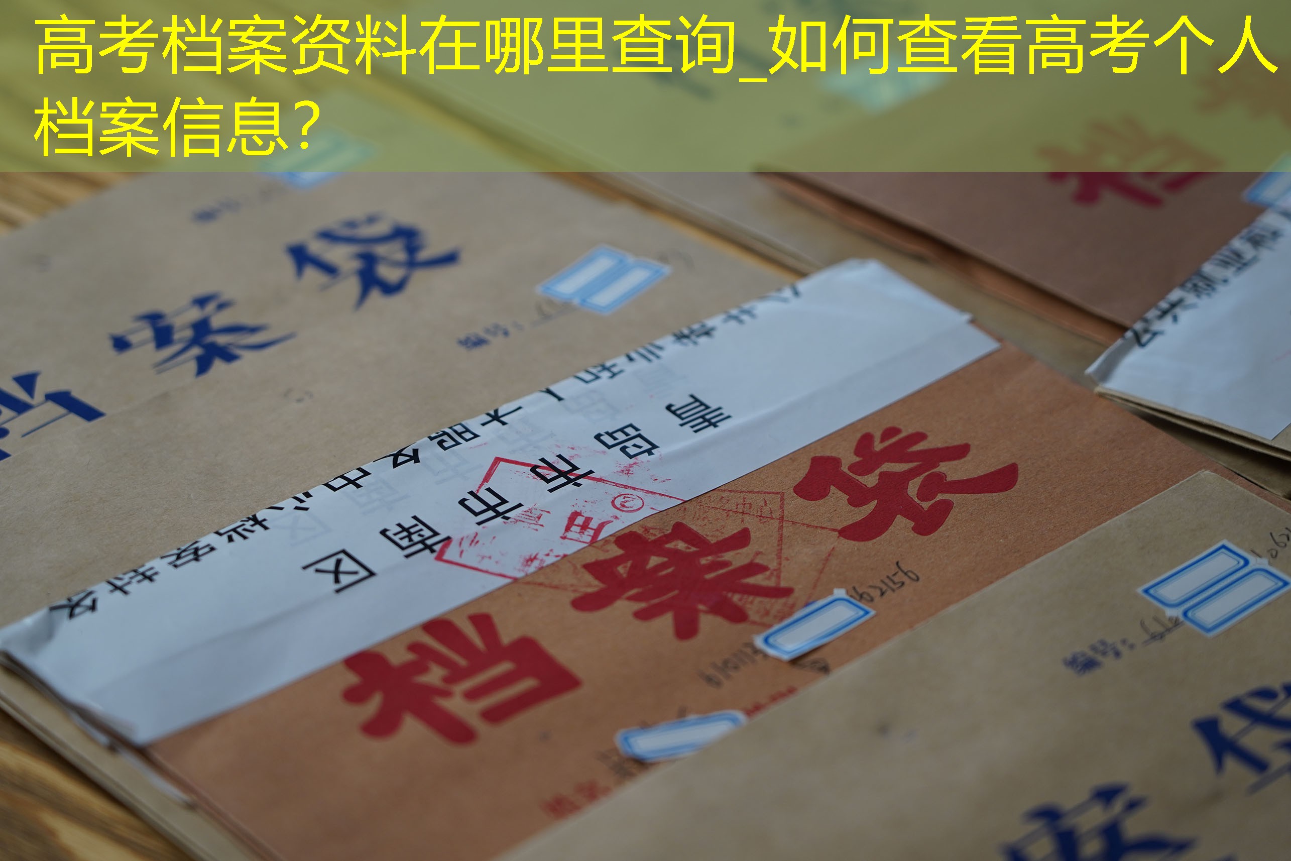档案查询