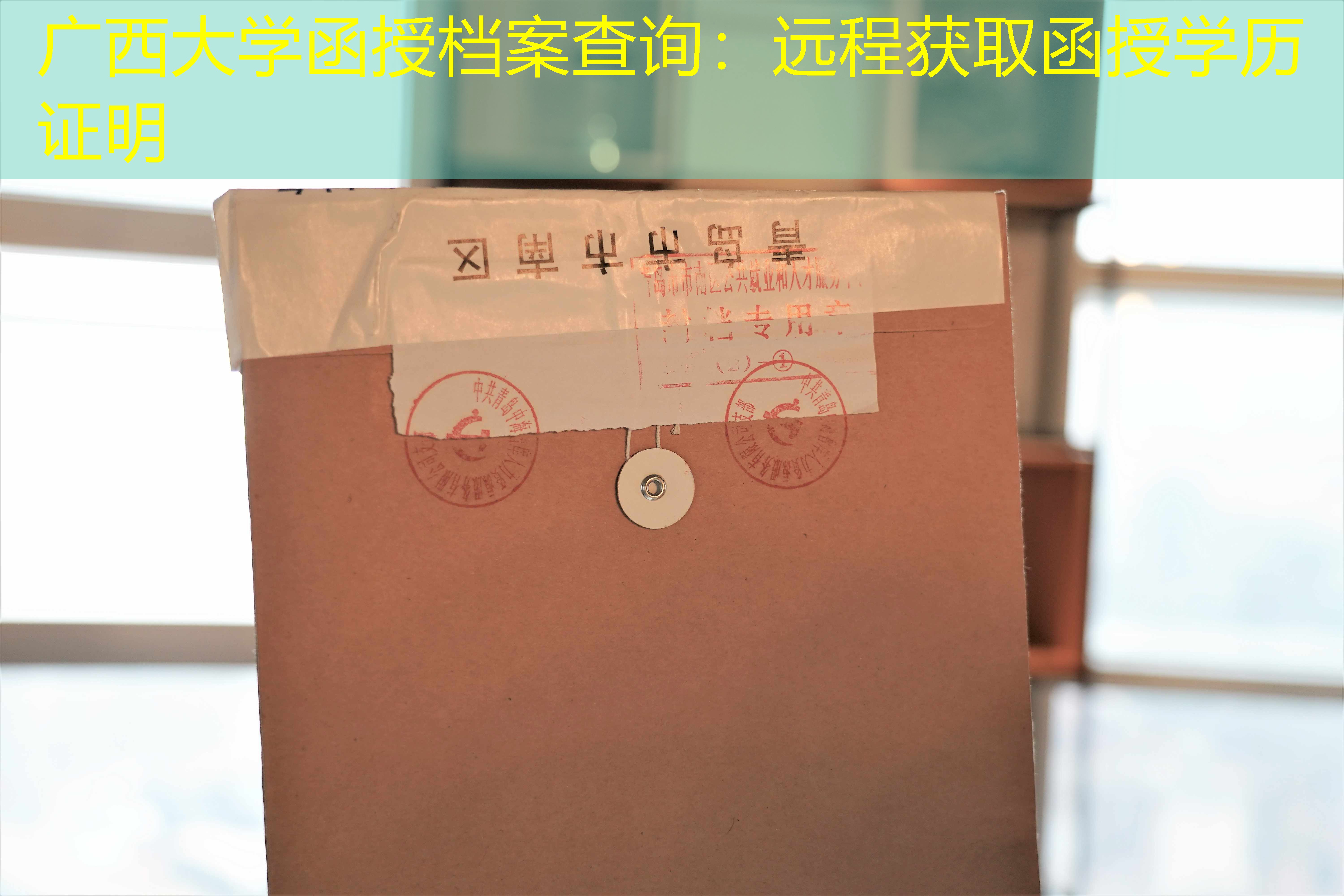 档案查询