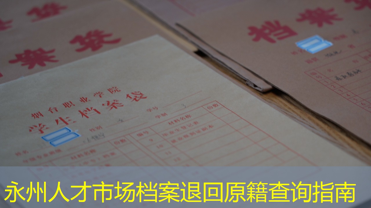 档案查询