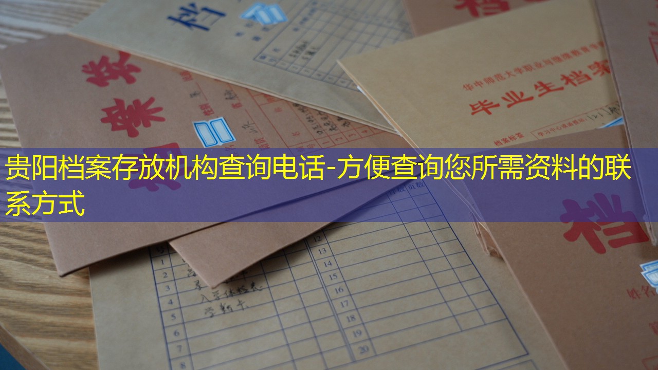 档案查询