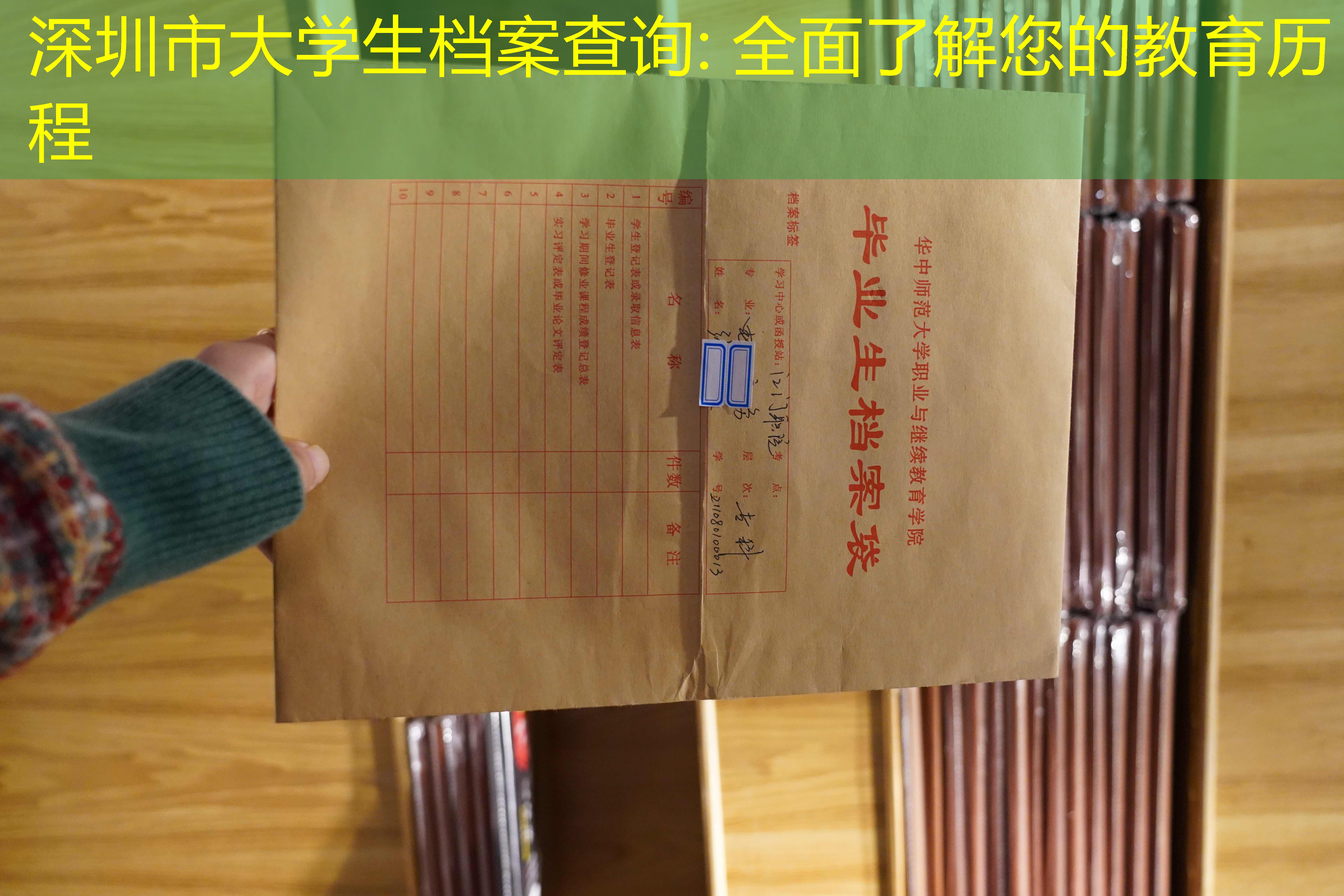 档案查询