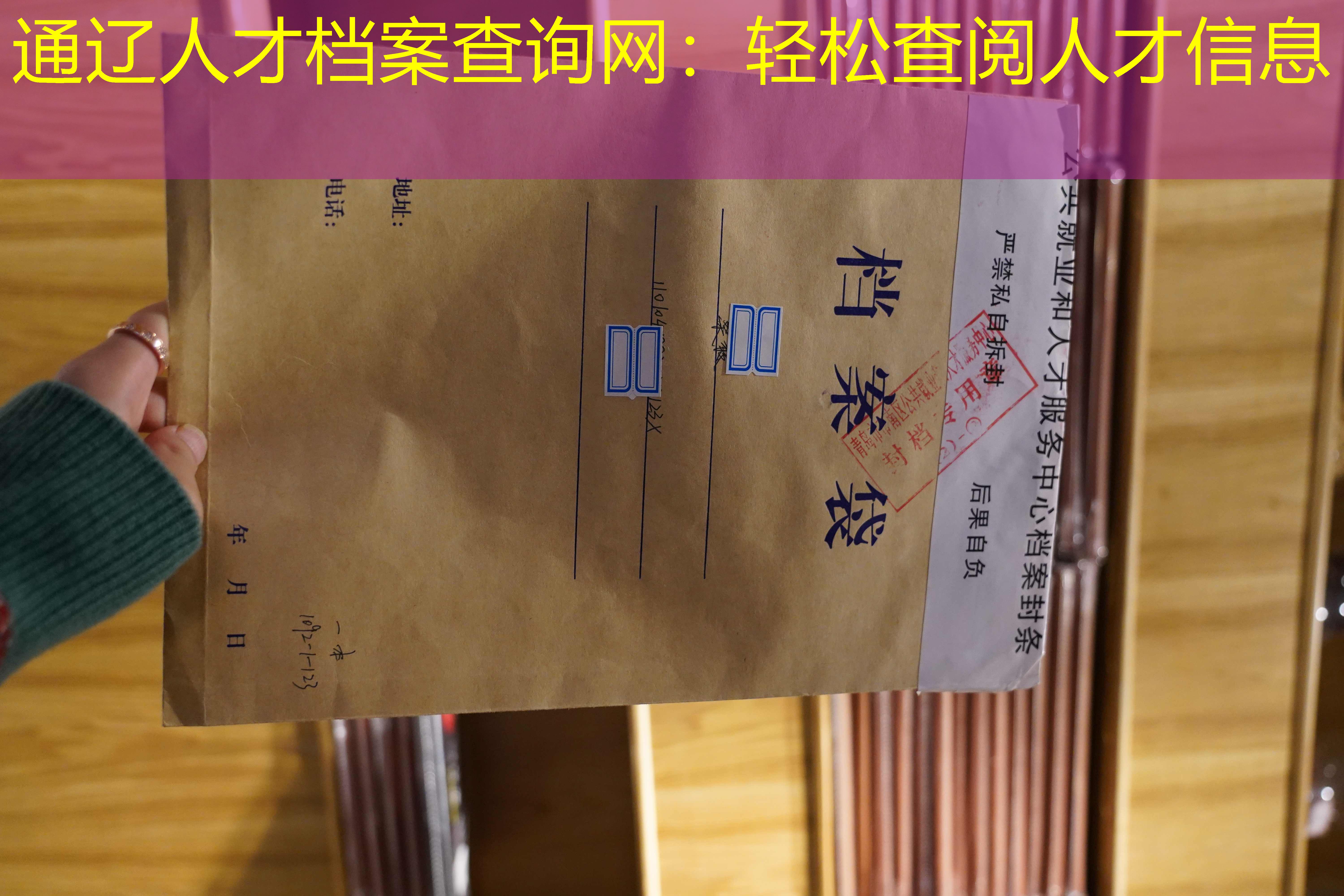 档案查询
