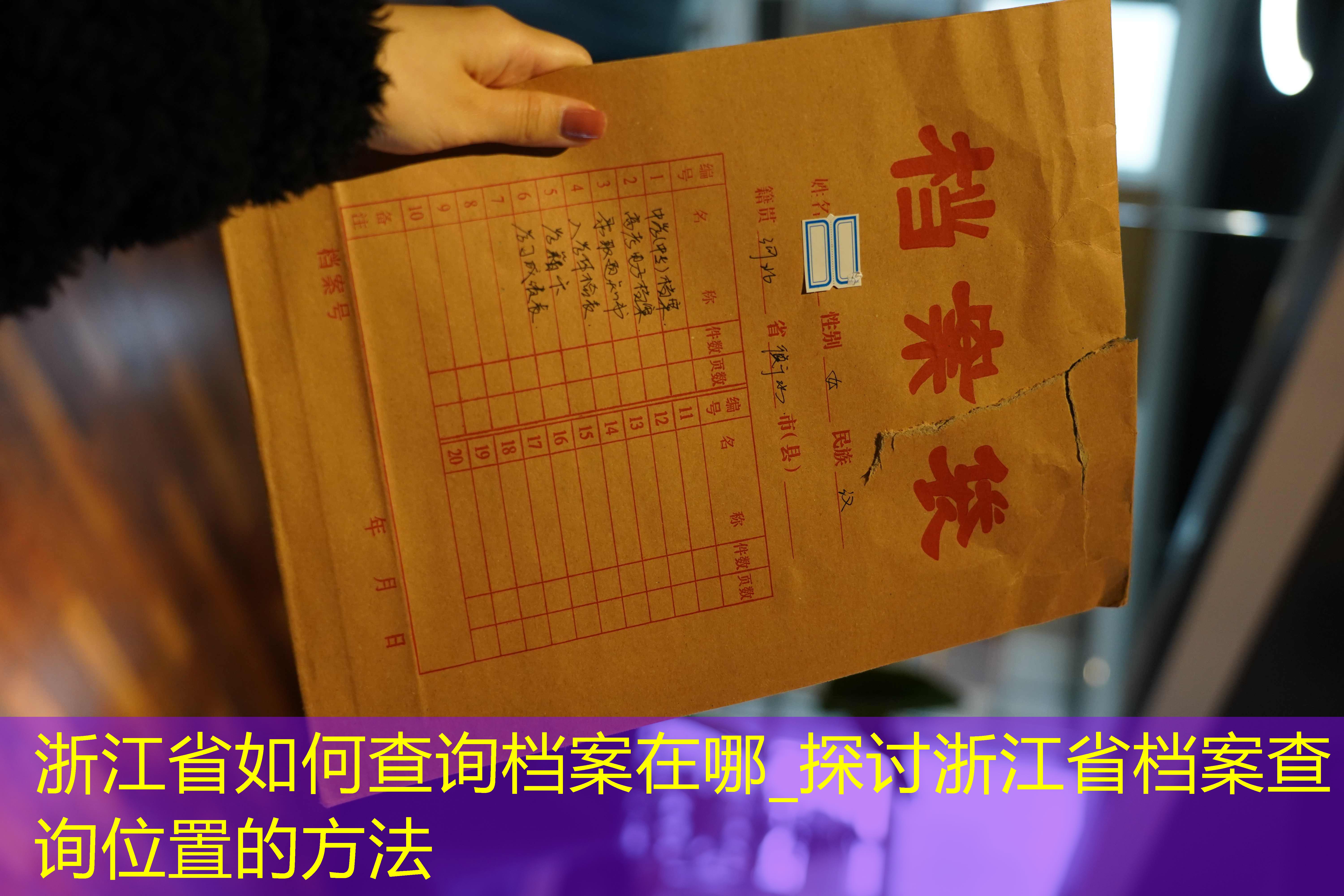 档案查询