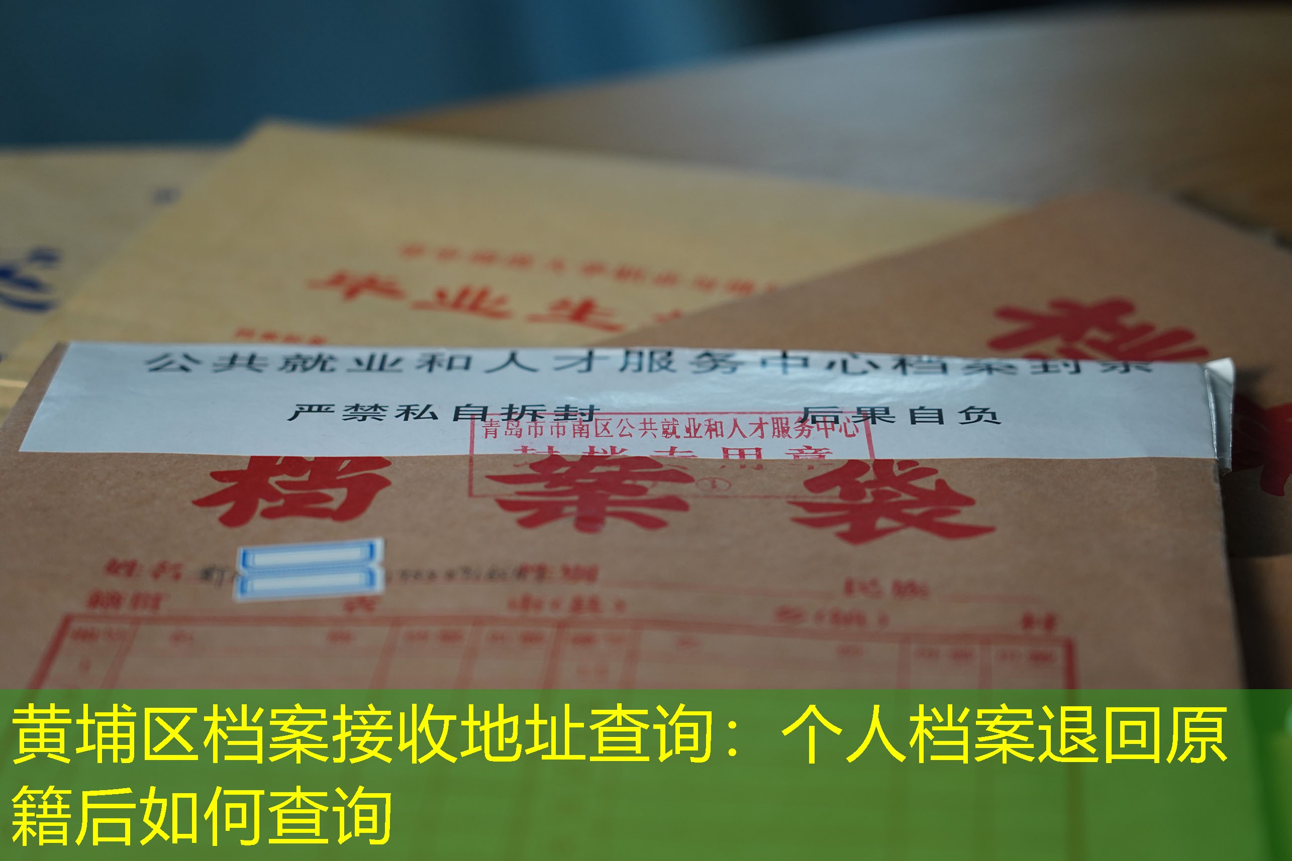 档案查询