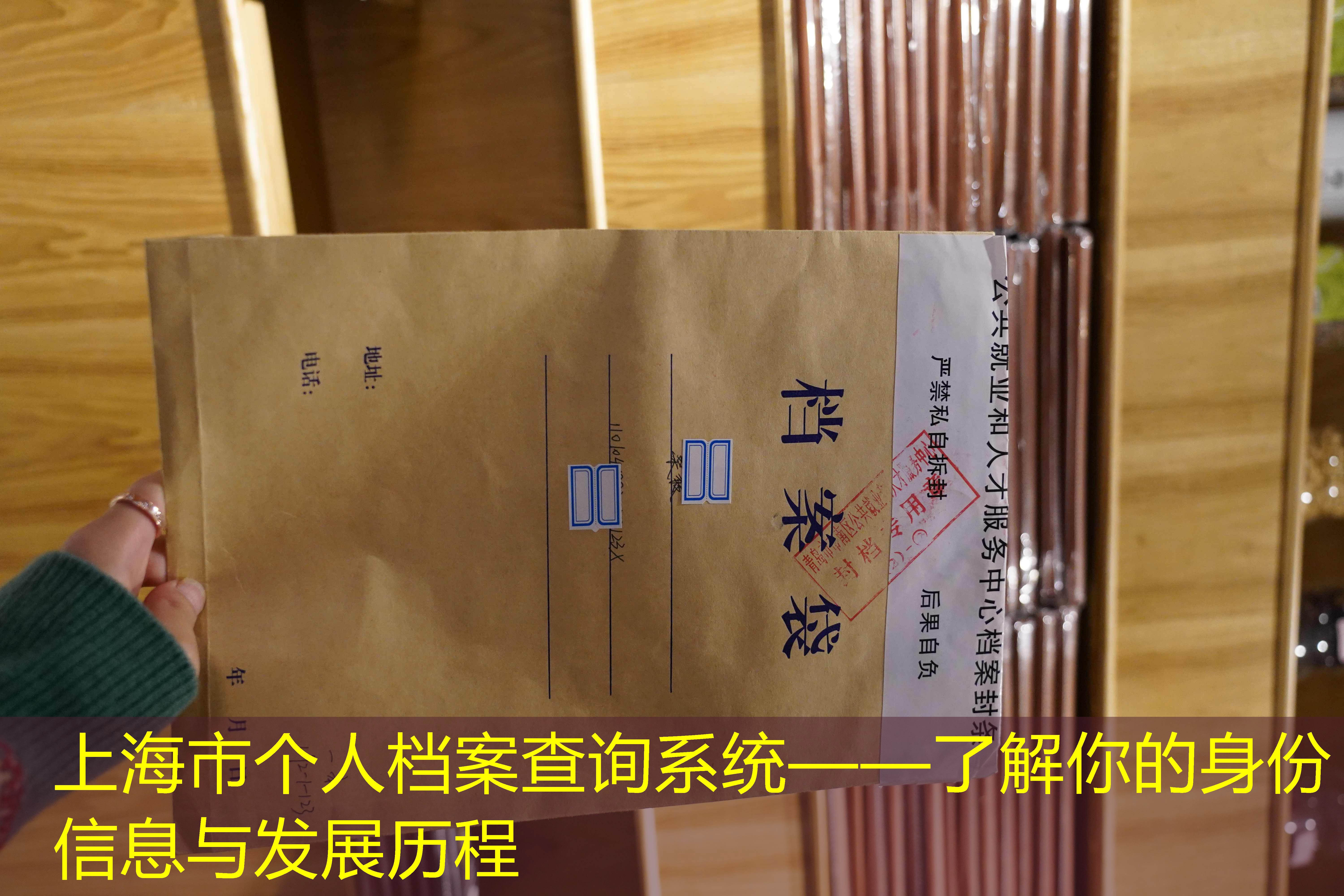 档案查询