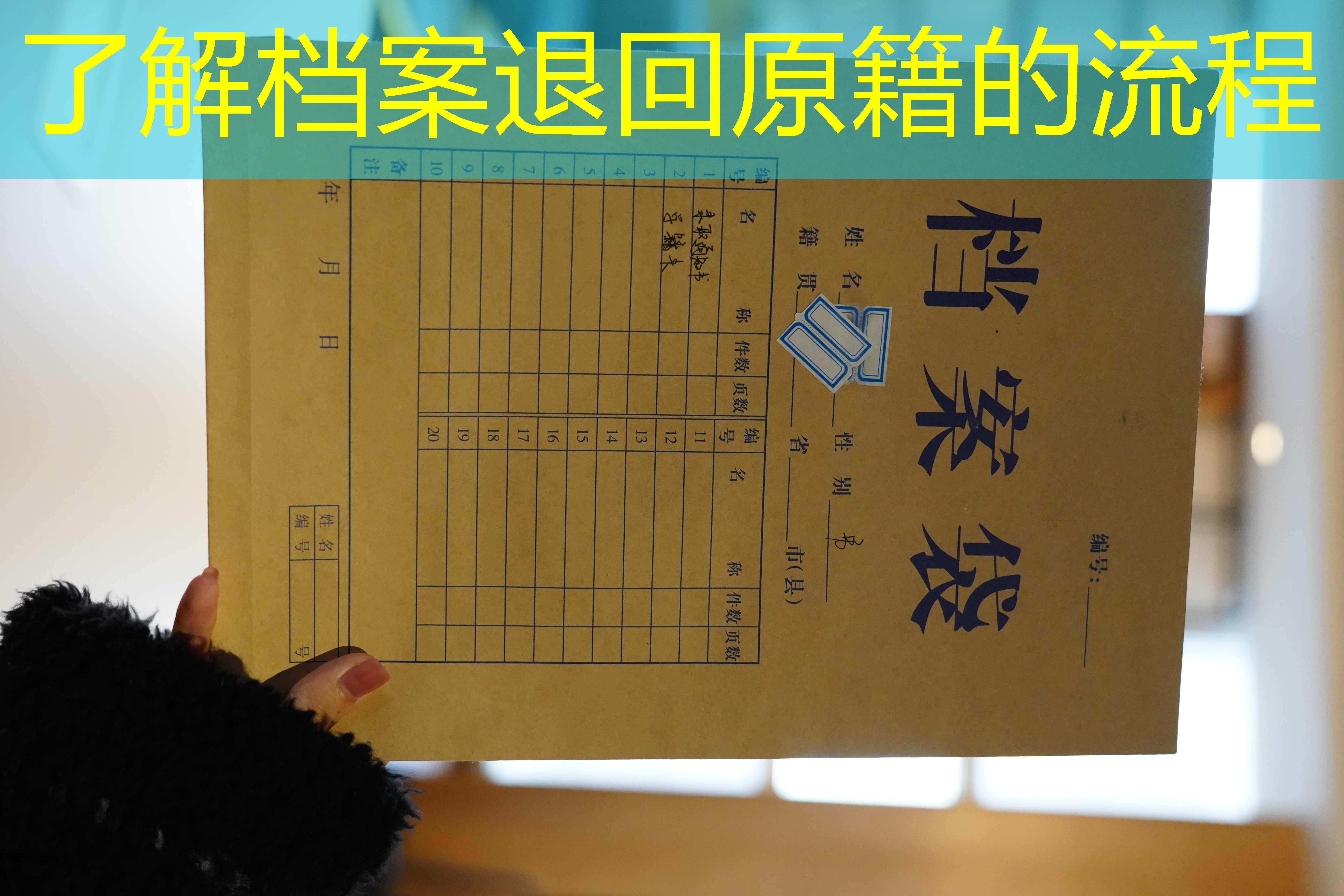 档案查询