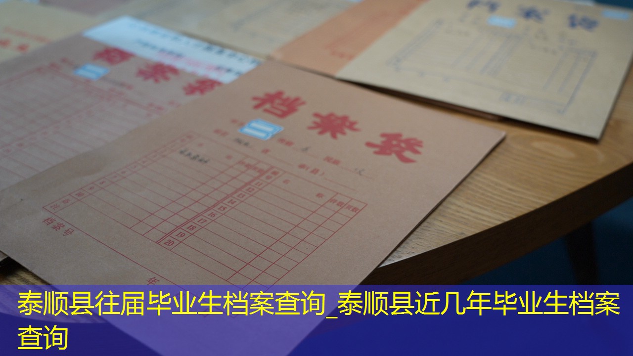 档案查询
