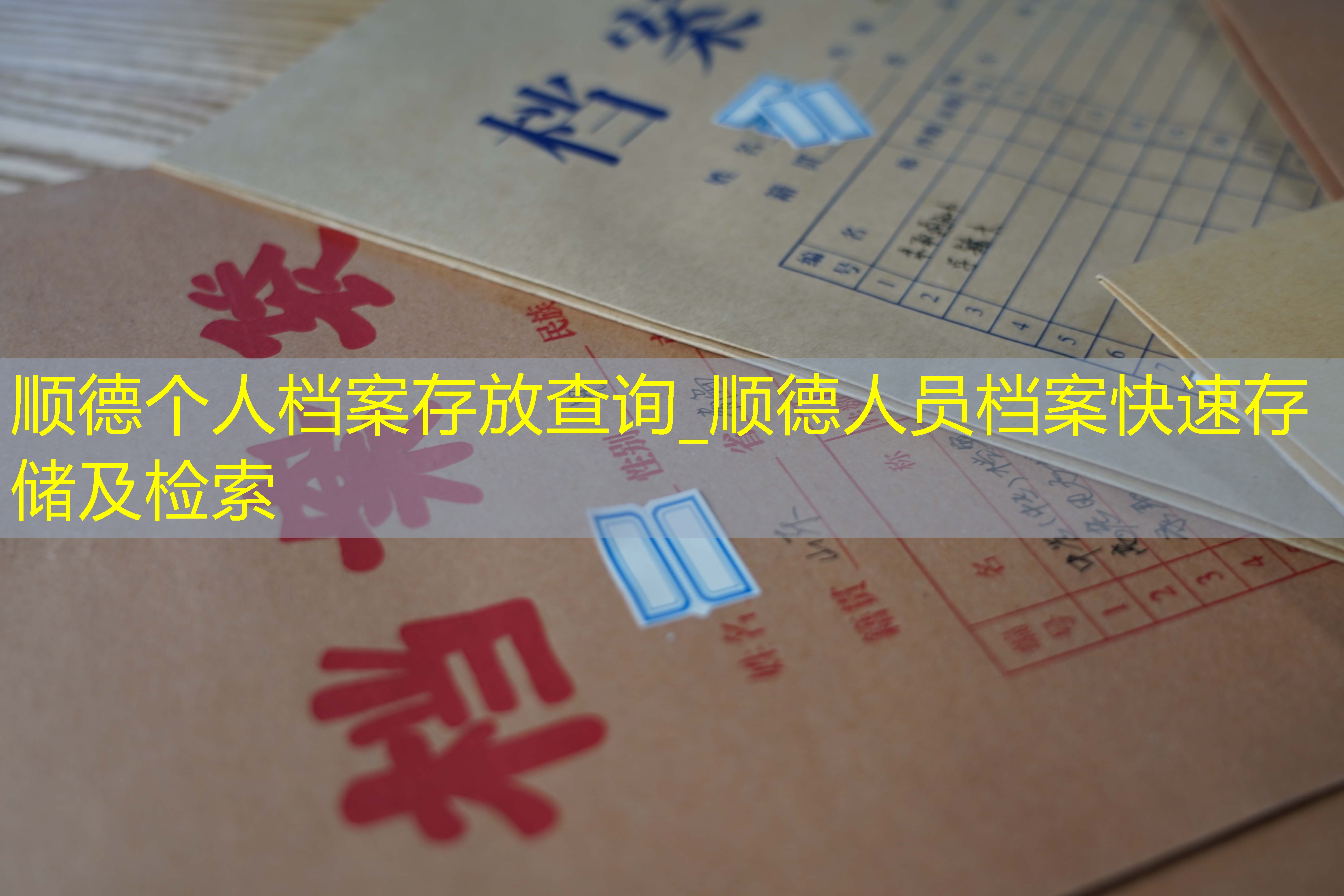 档案查询