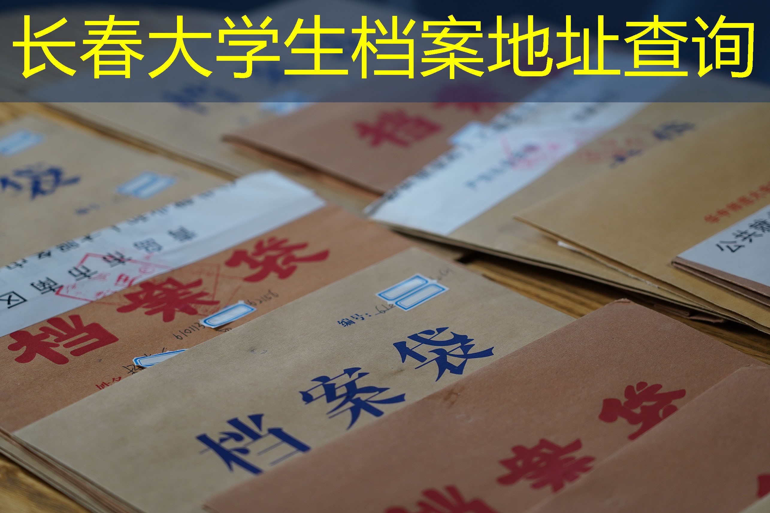档案查询