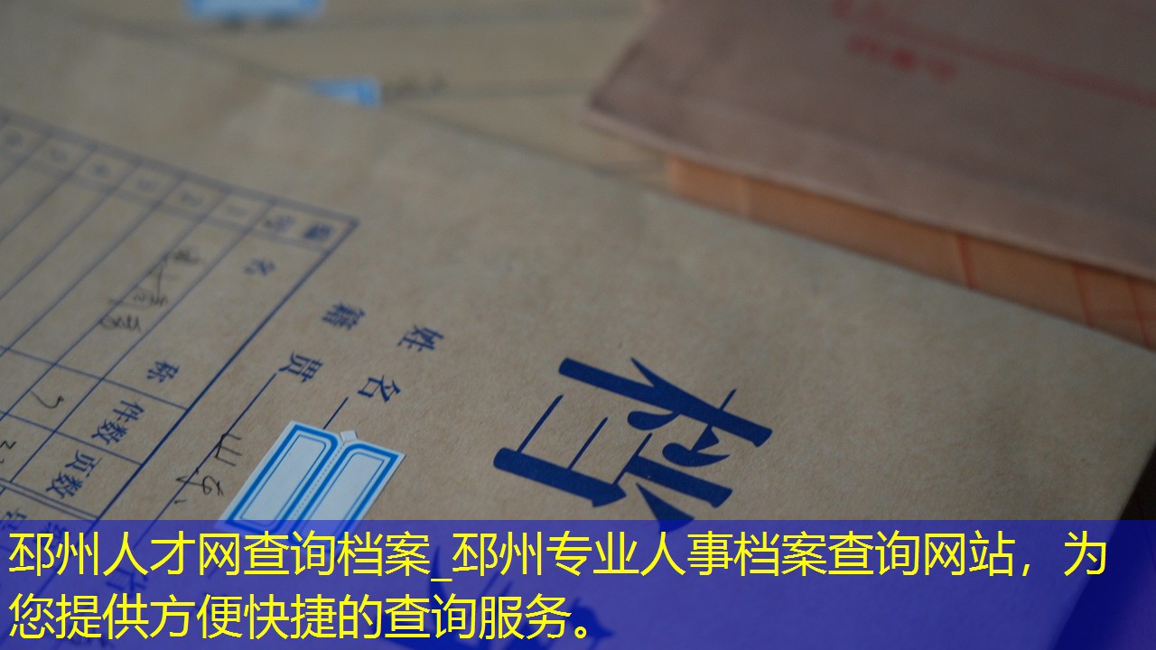档案查询