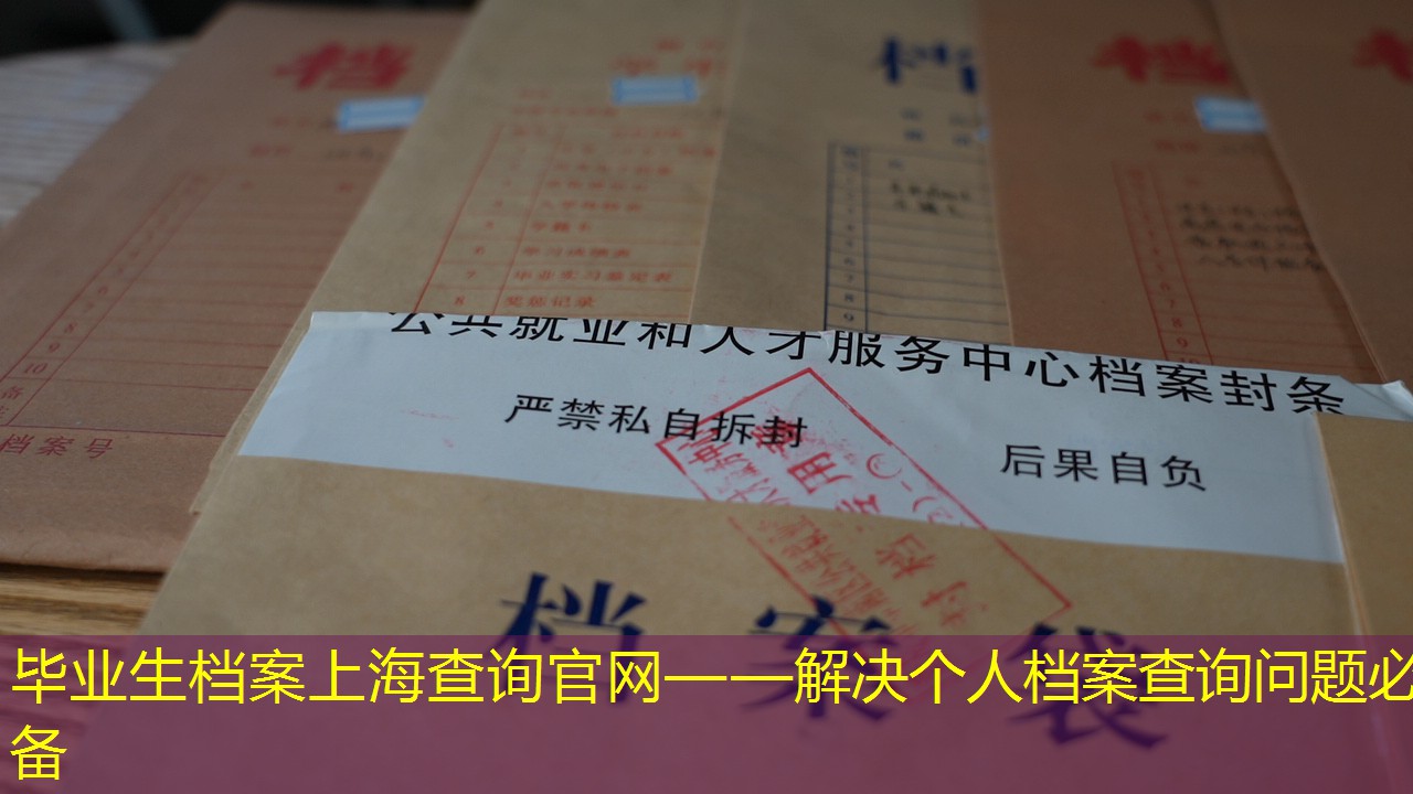 档案查询