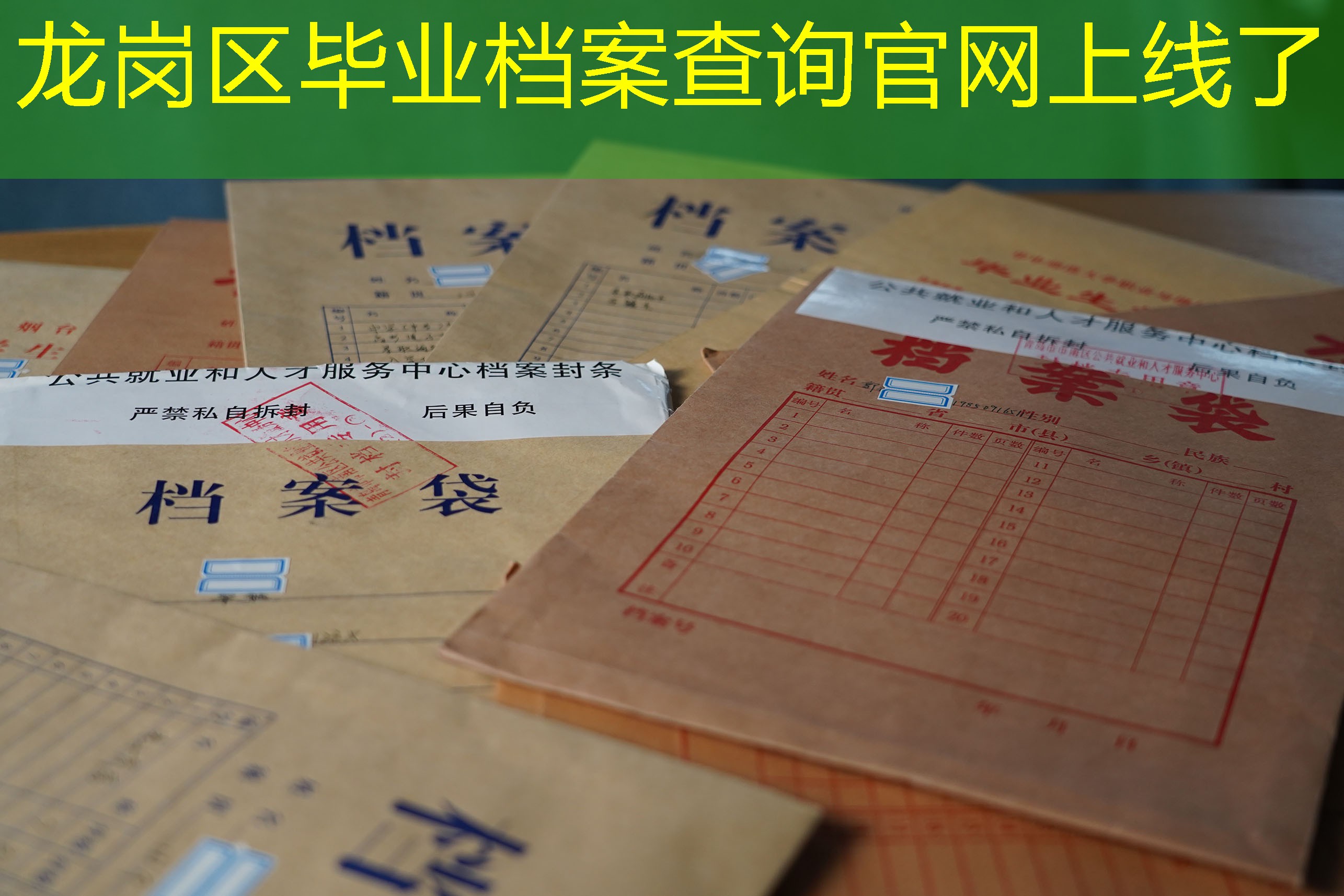 档案查询