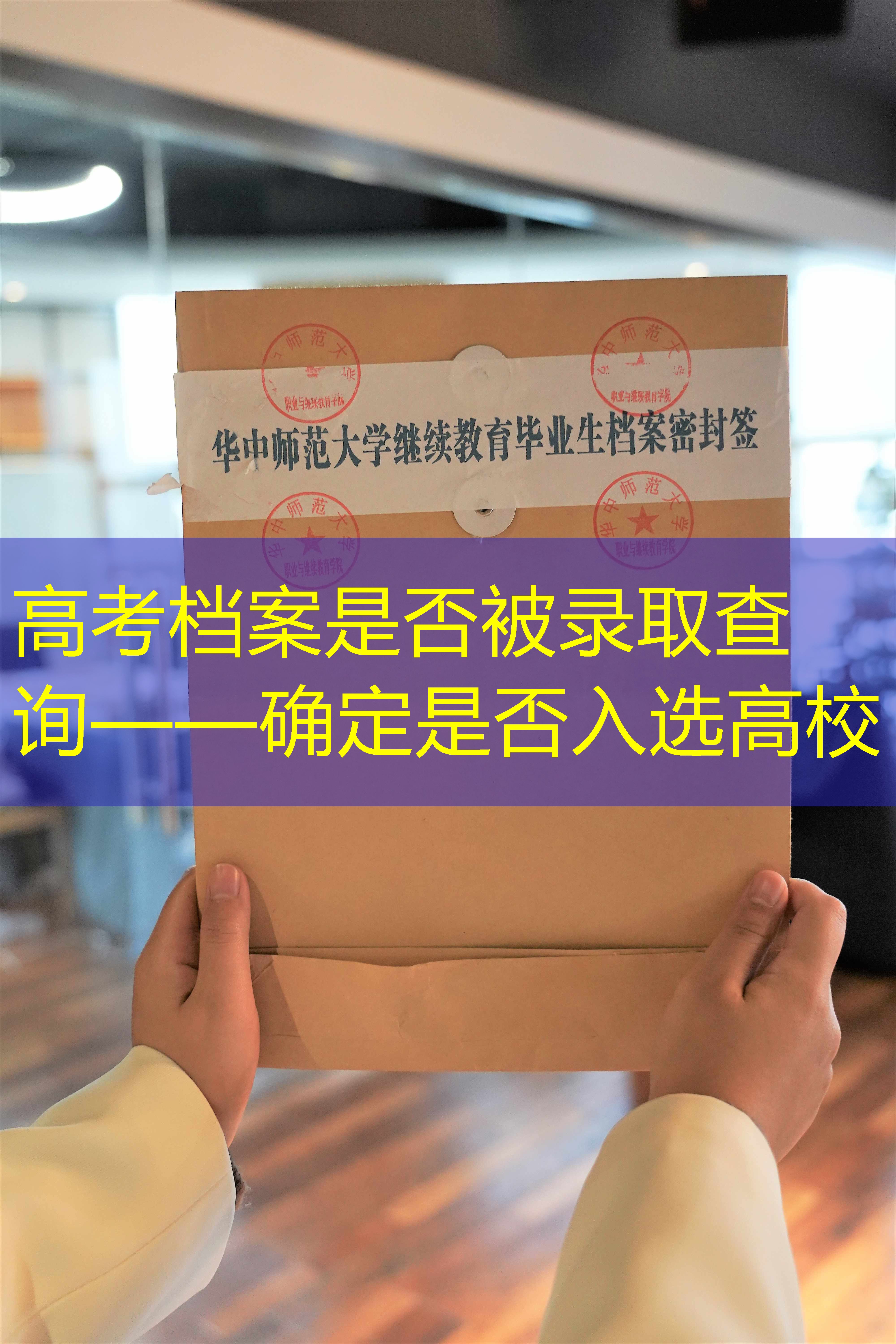 档案查询