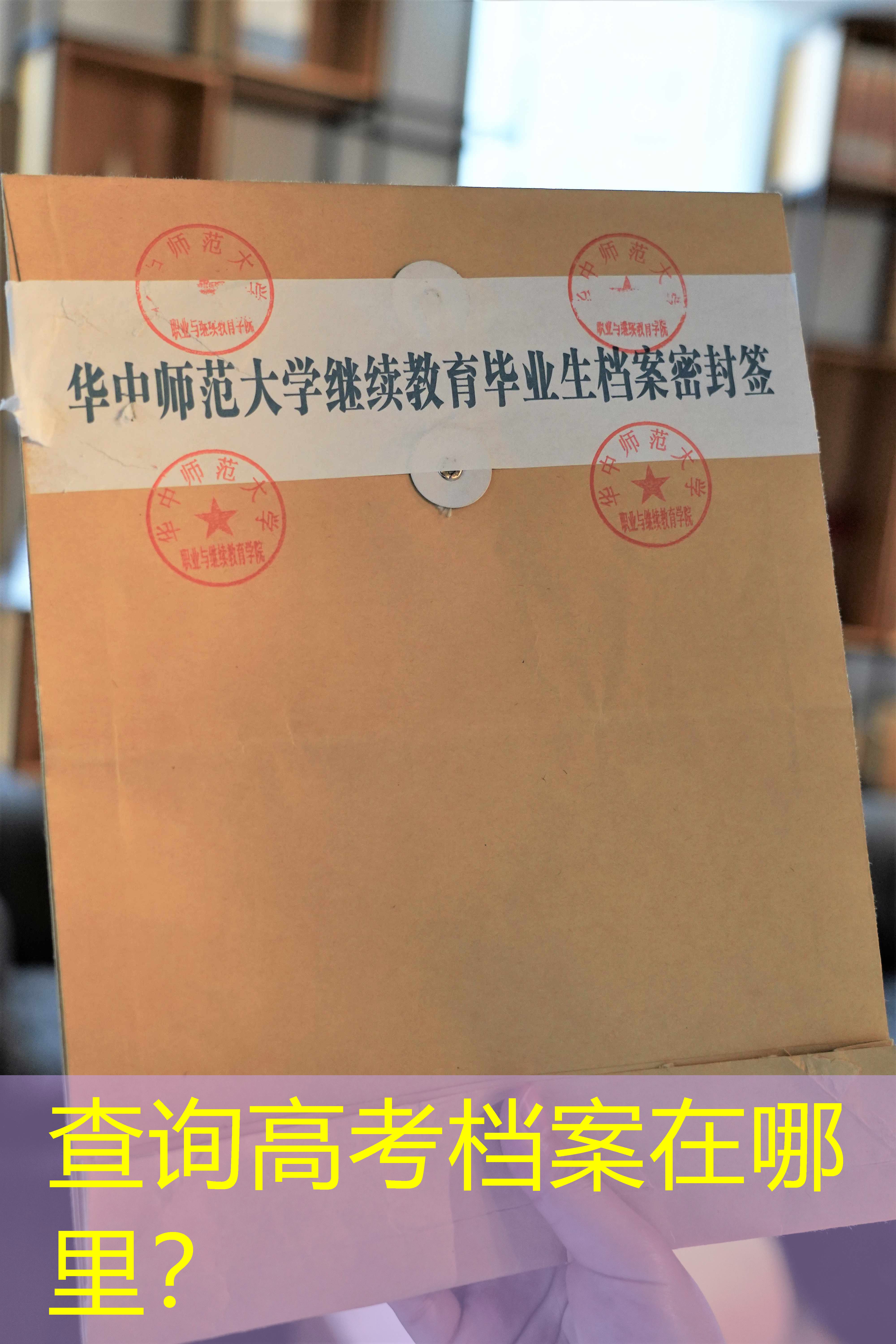 档案查询