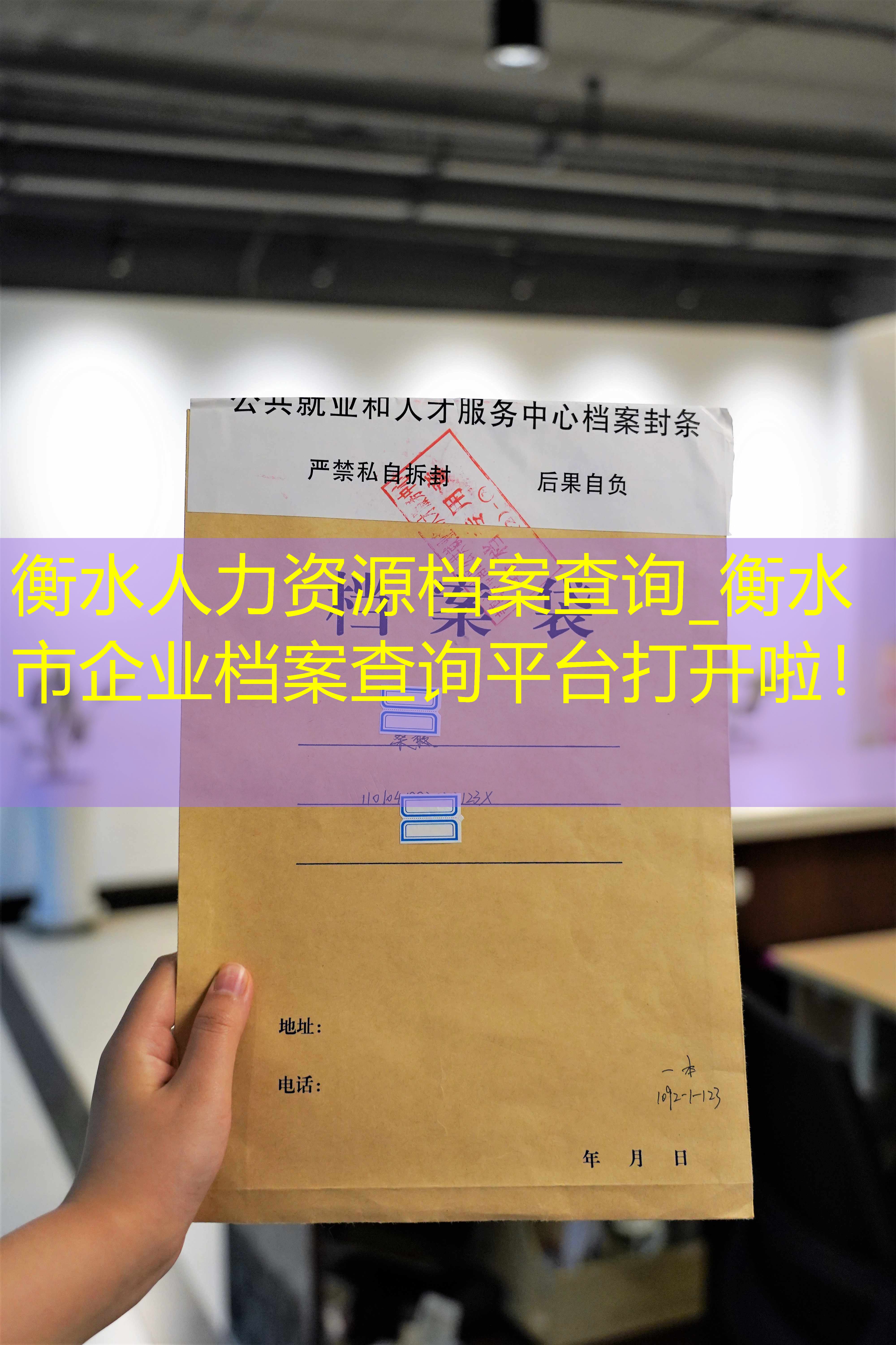 档案查询