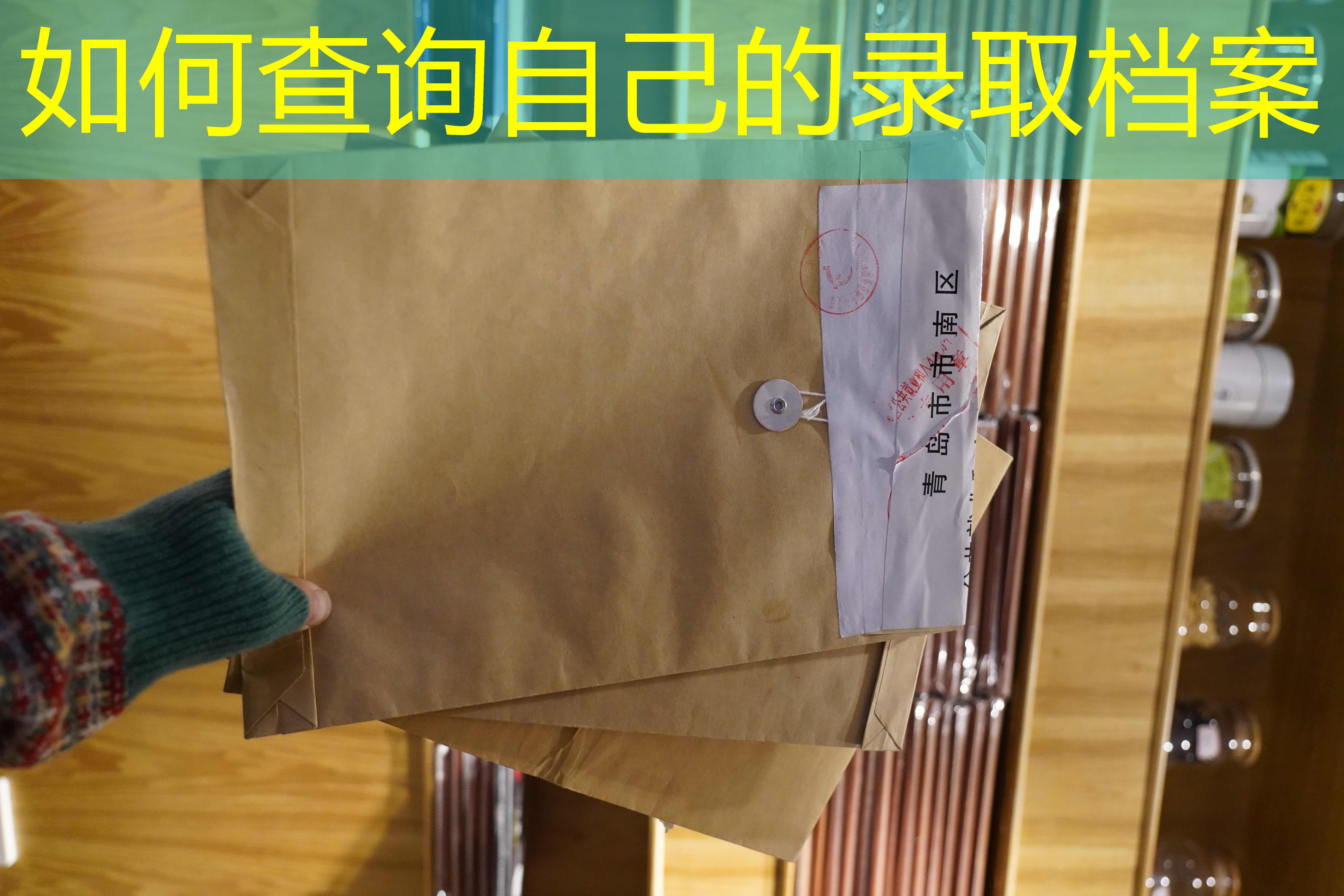 档案查询