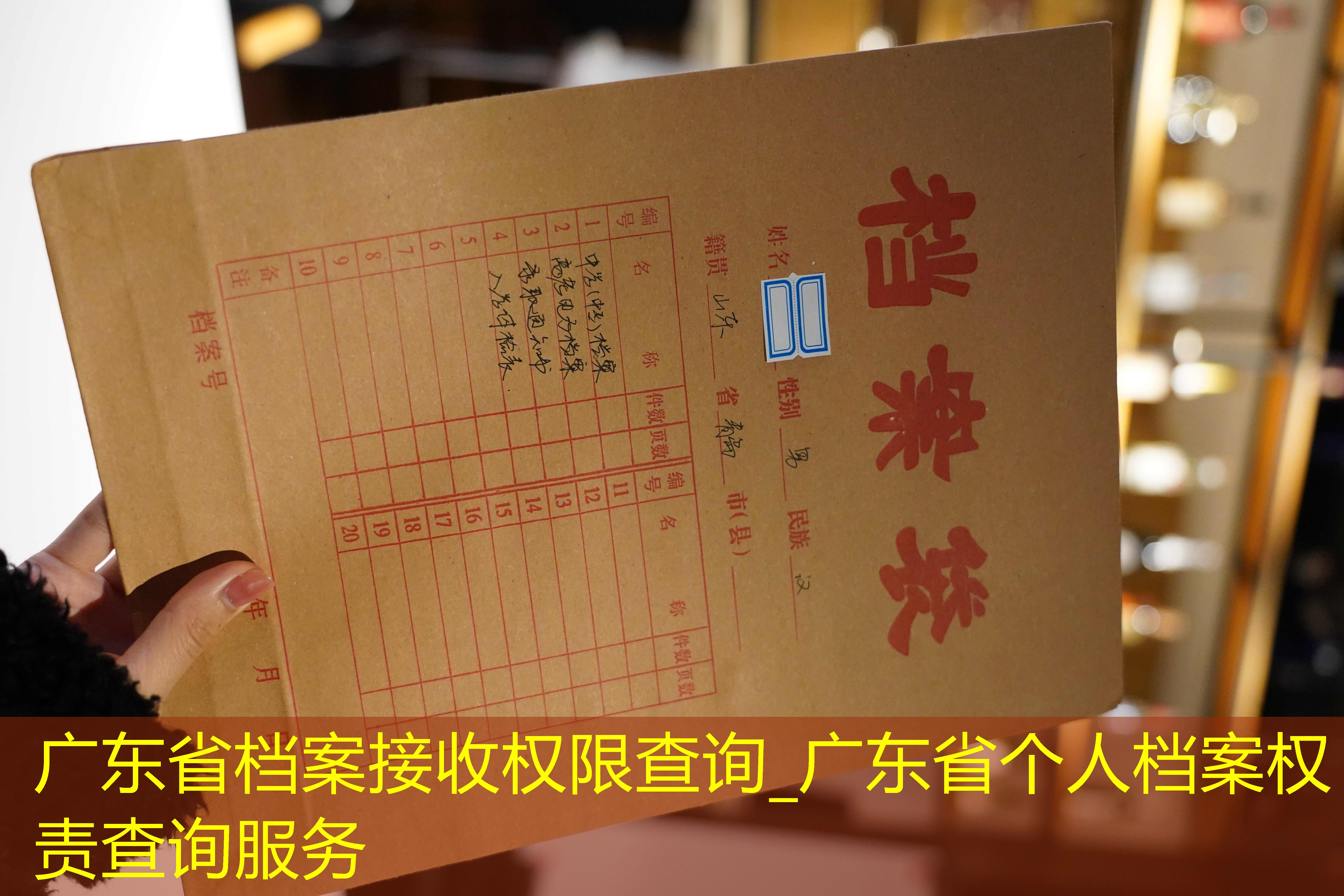 档案查询