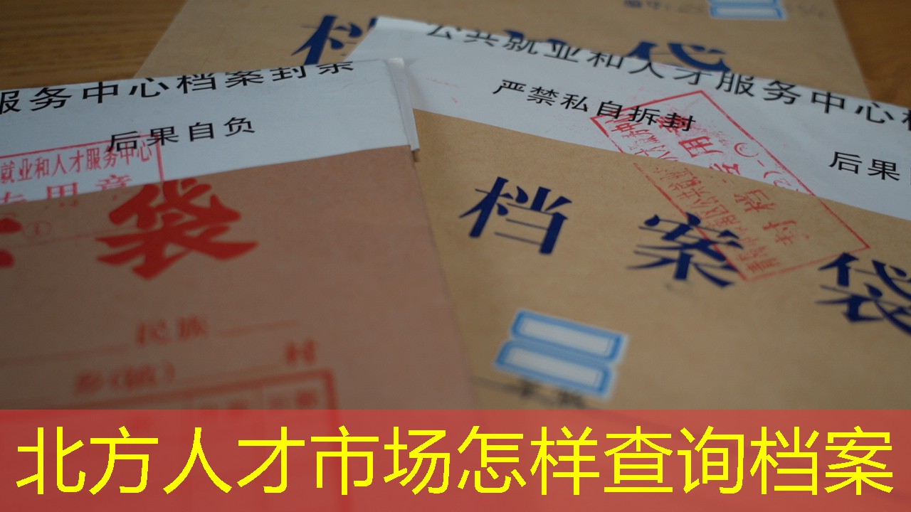 档案查询