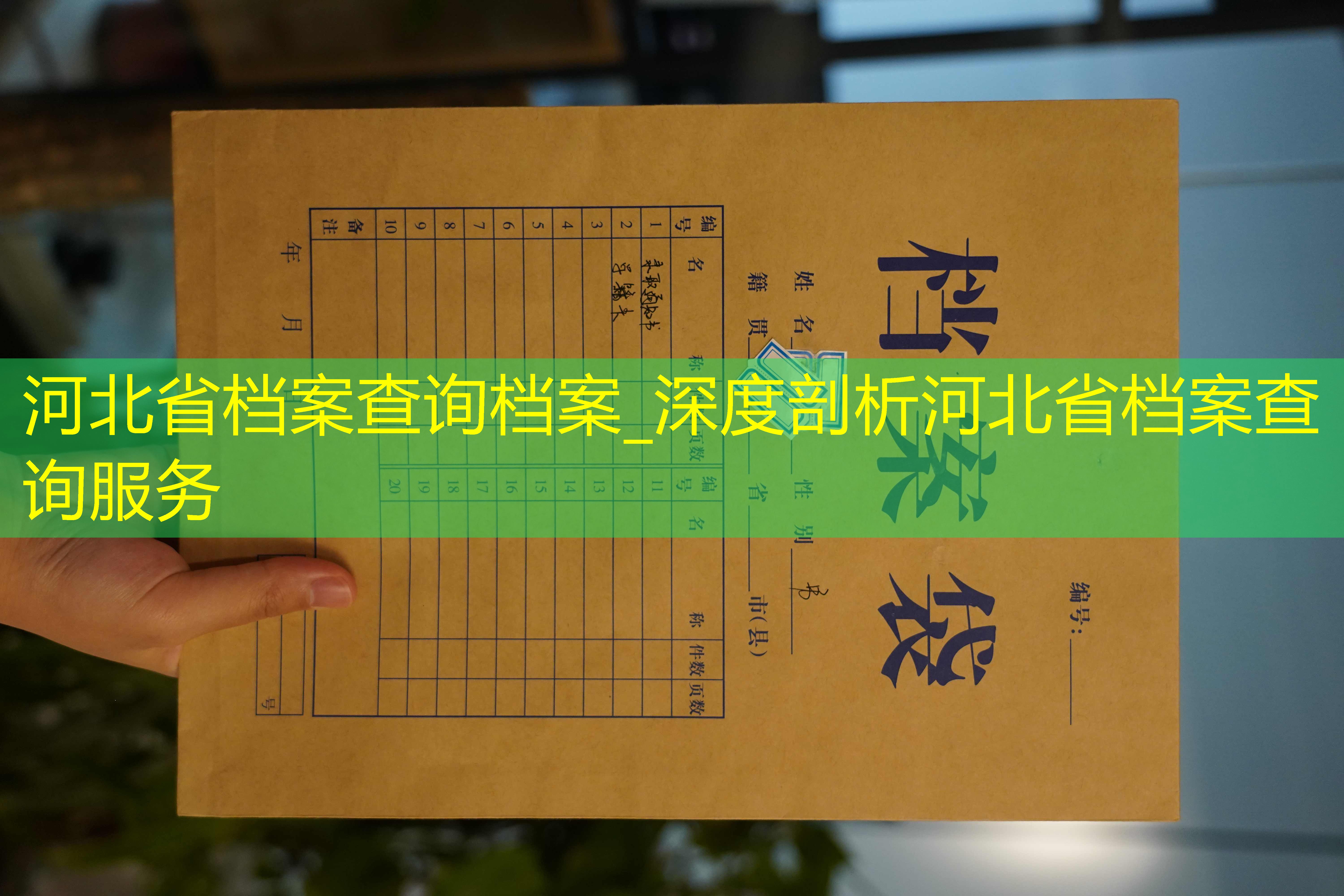 档案查询