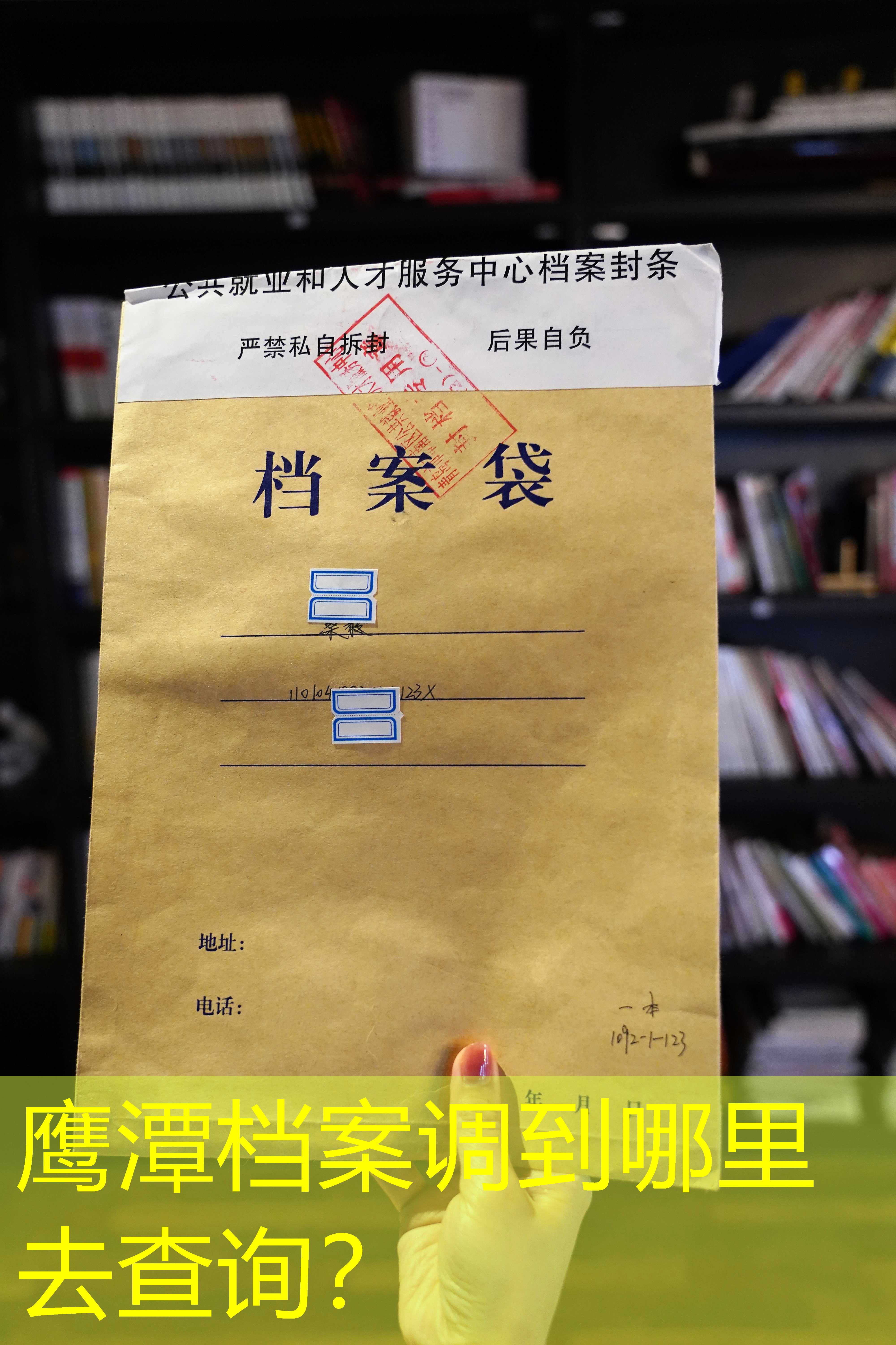 档案查询
