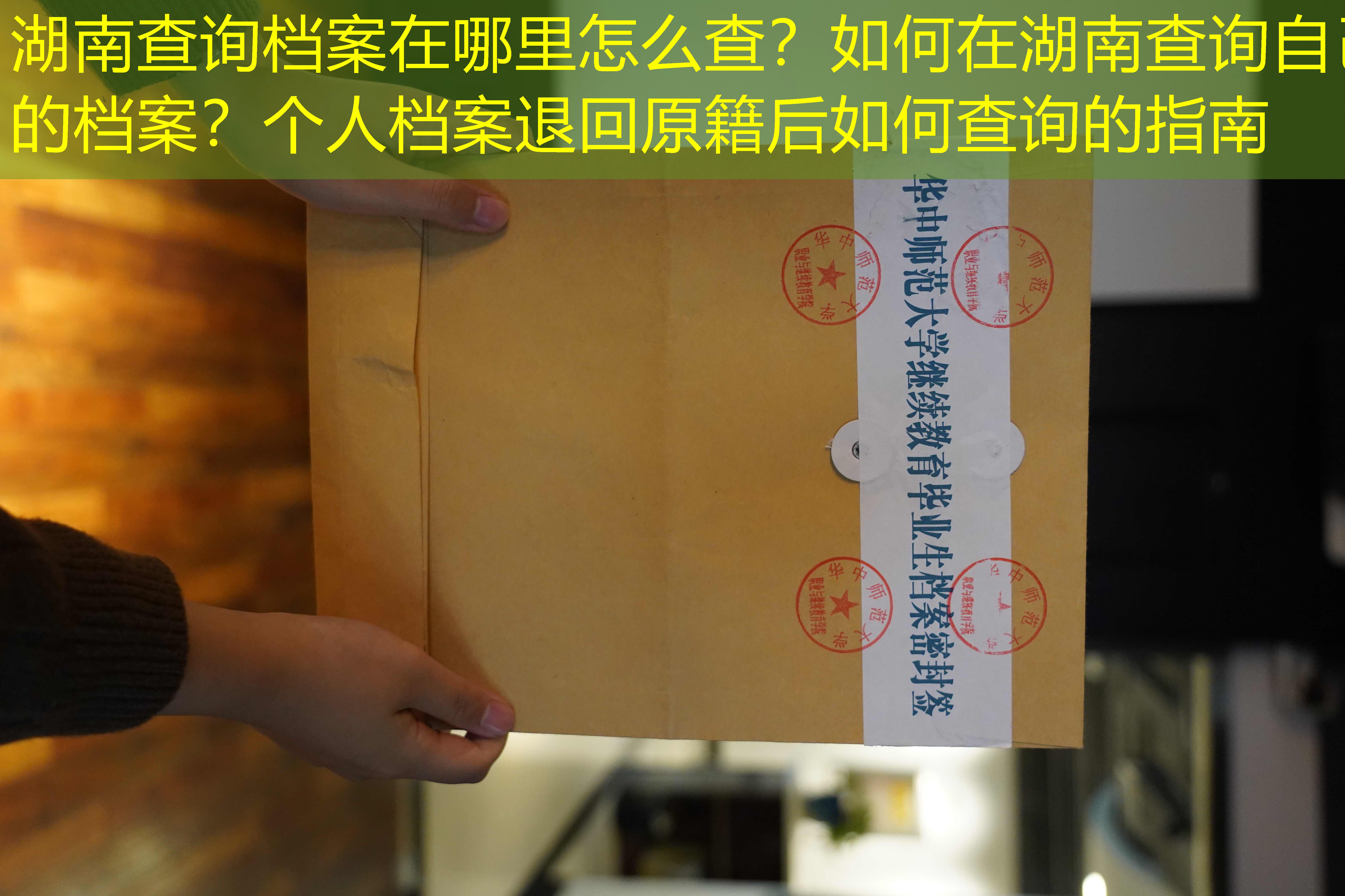 档案查询
