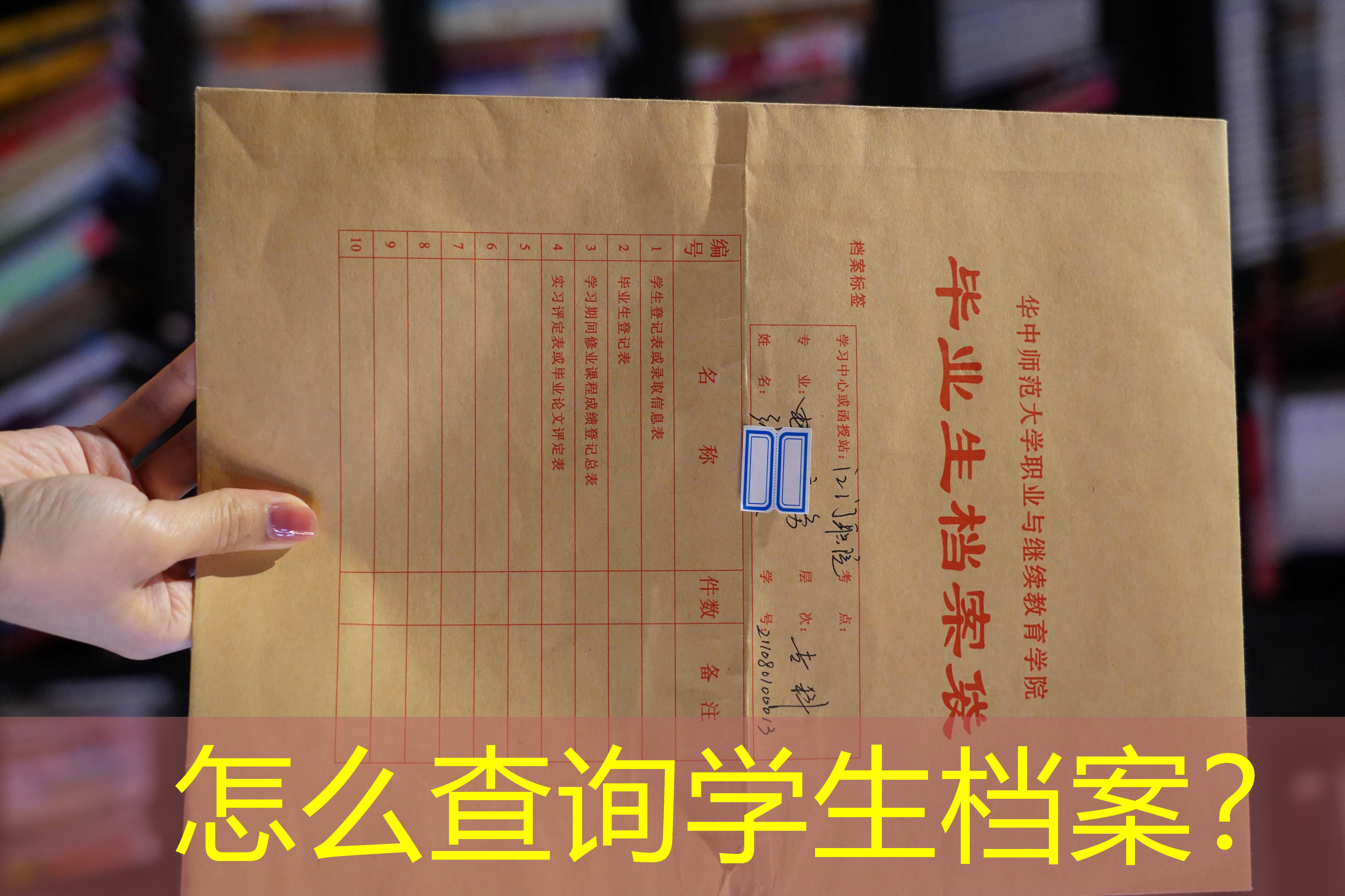 档案查询