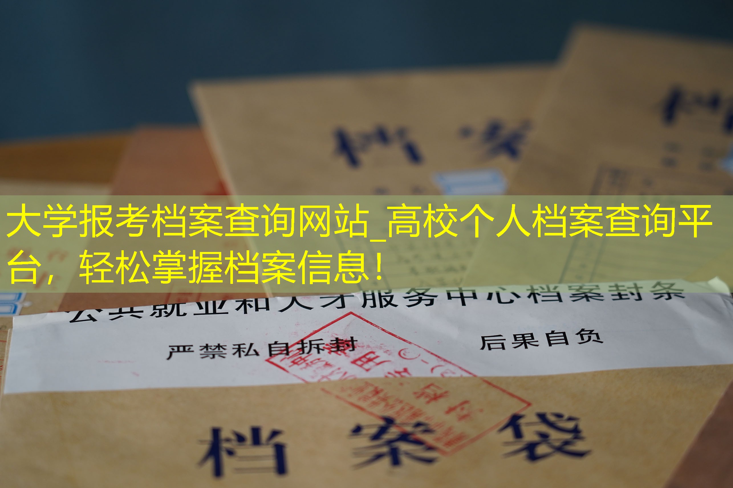 档案查询