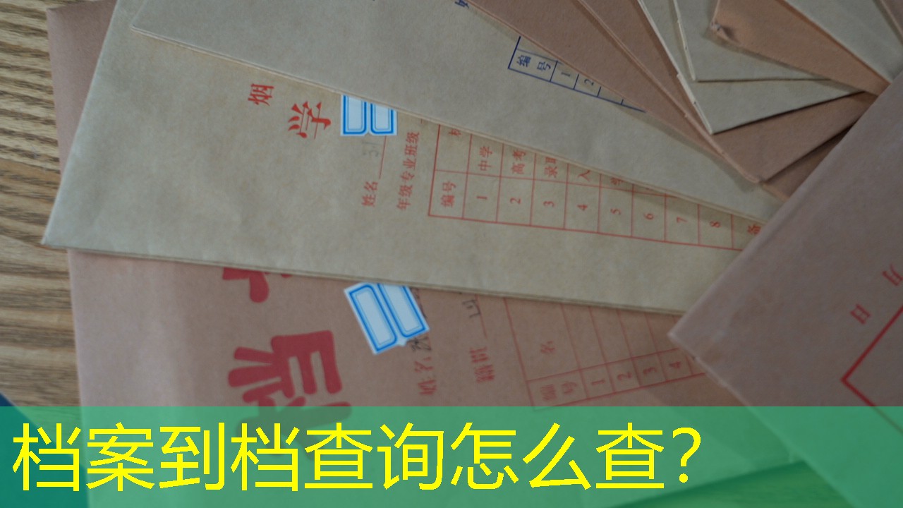 档案查询