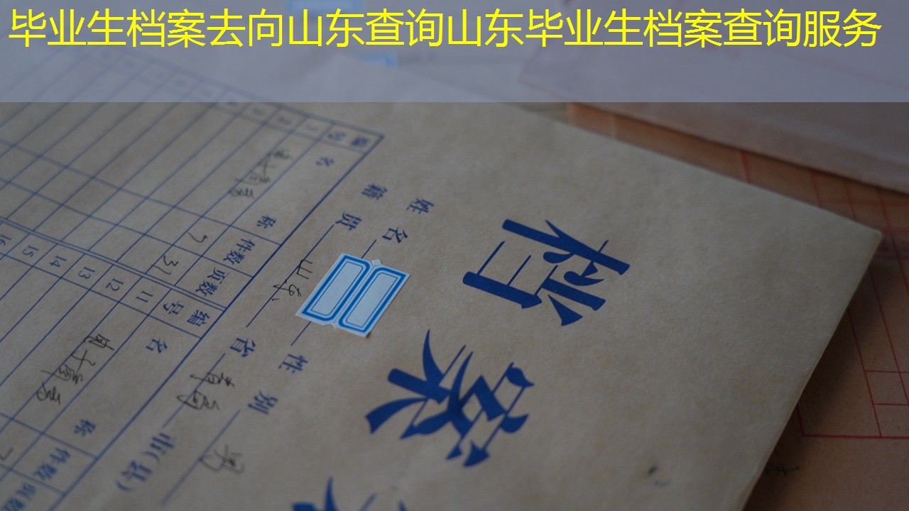 档案查询