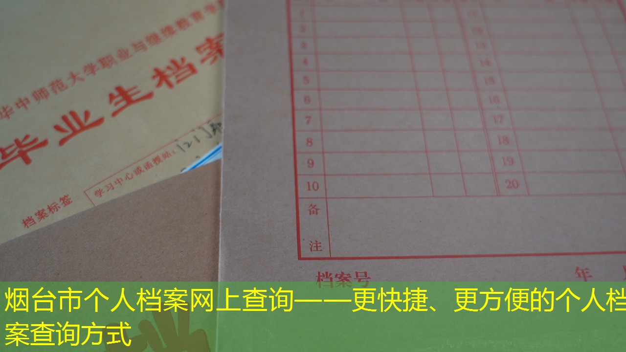 档案查询