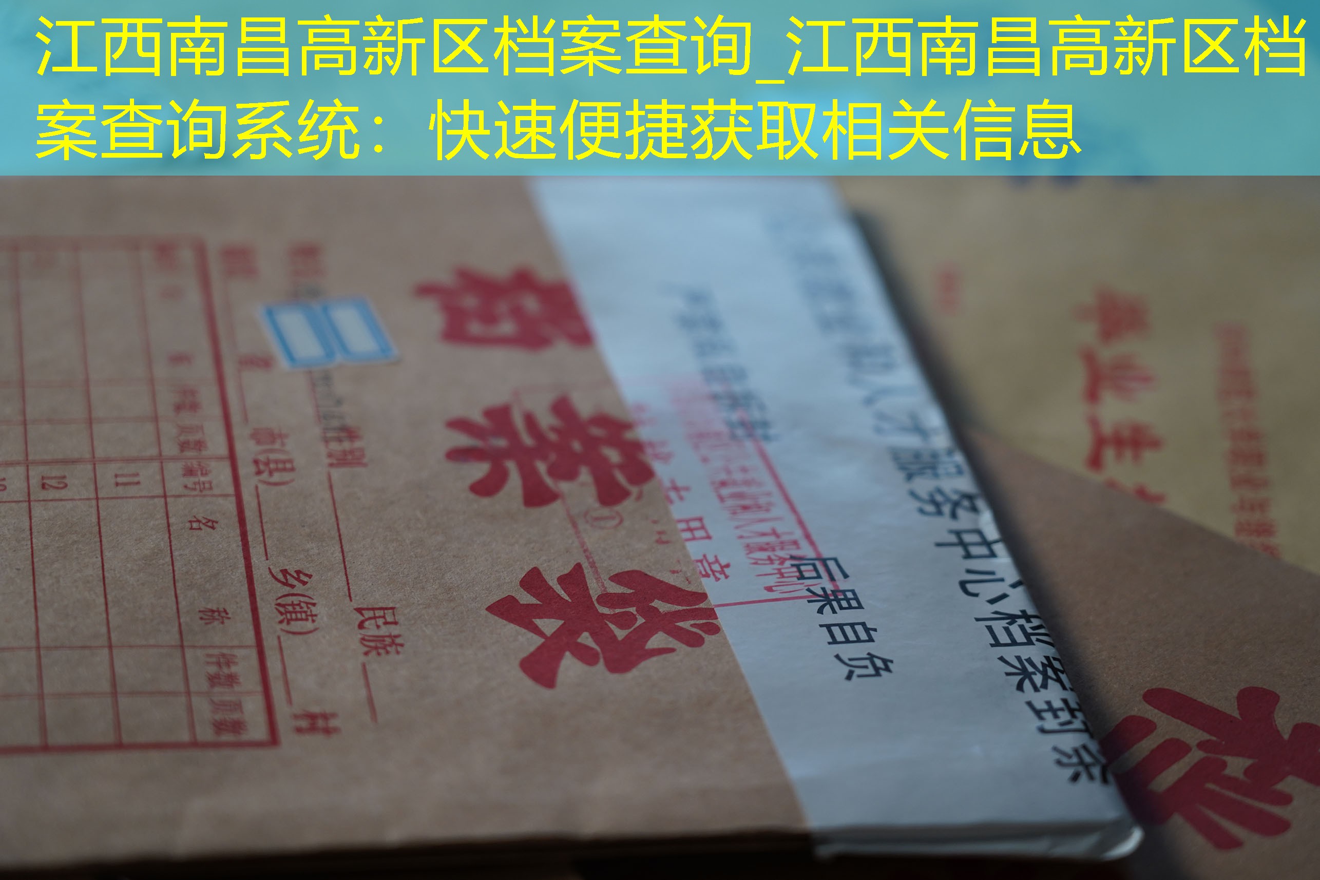档案查询