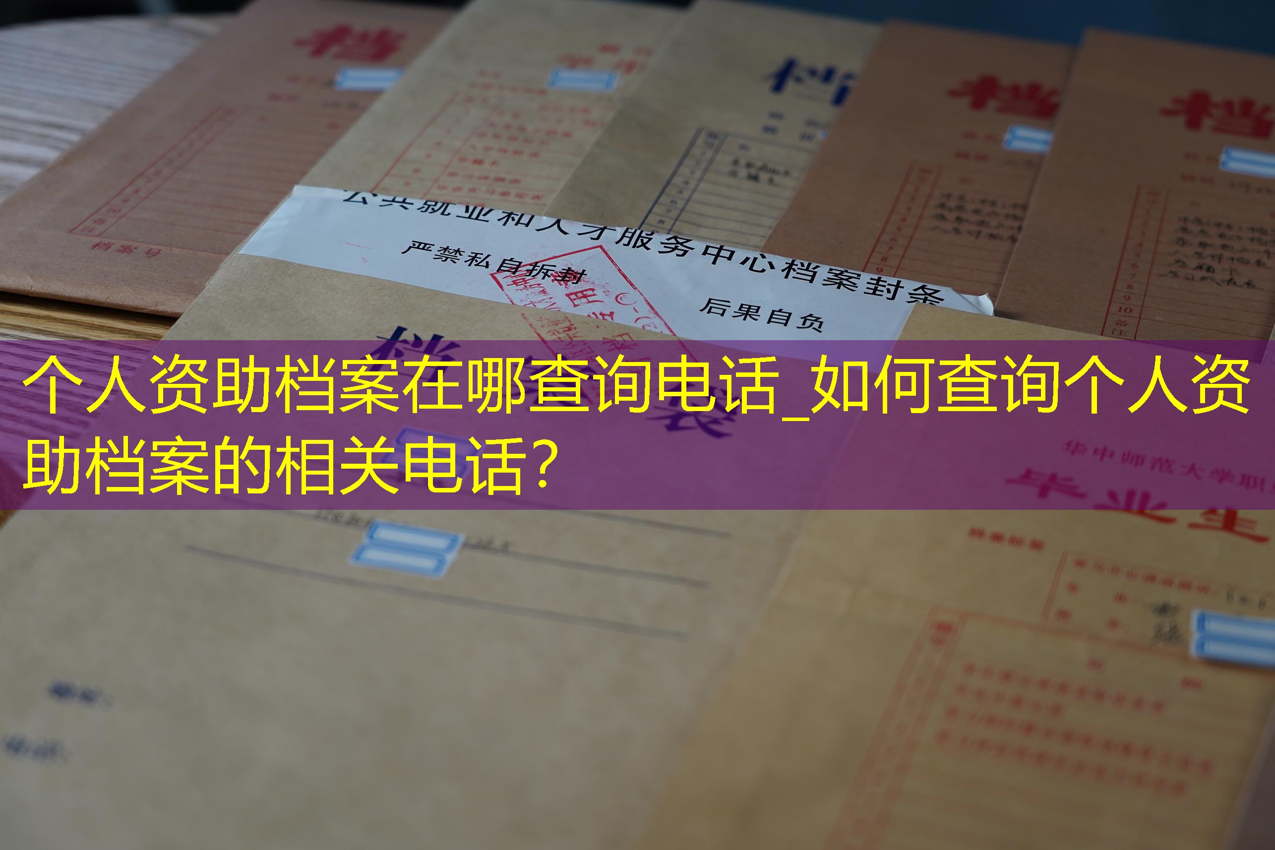 档案查询
