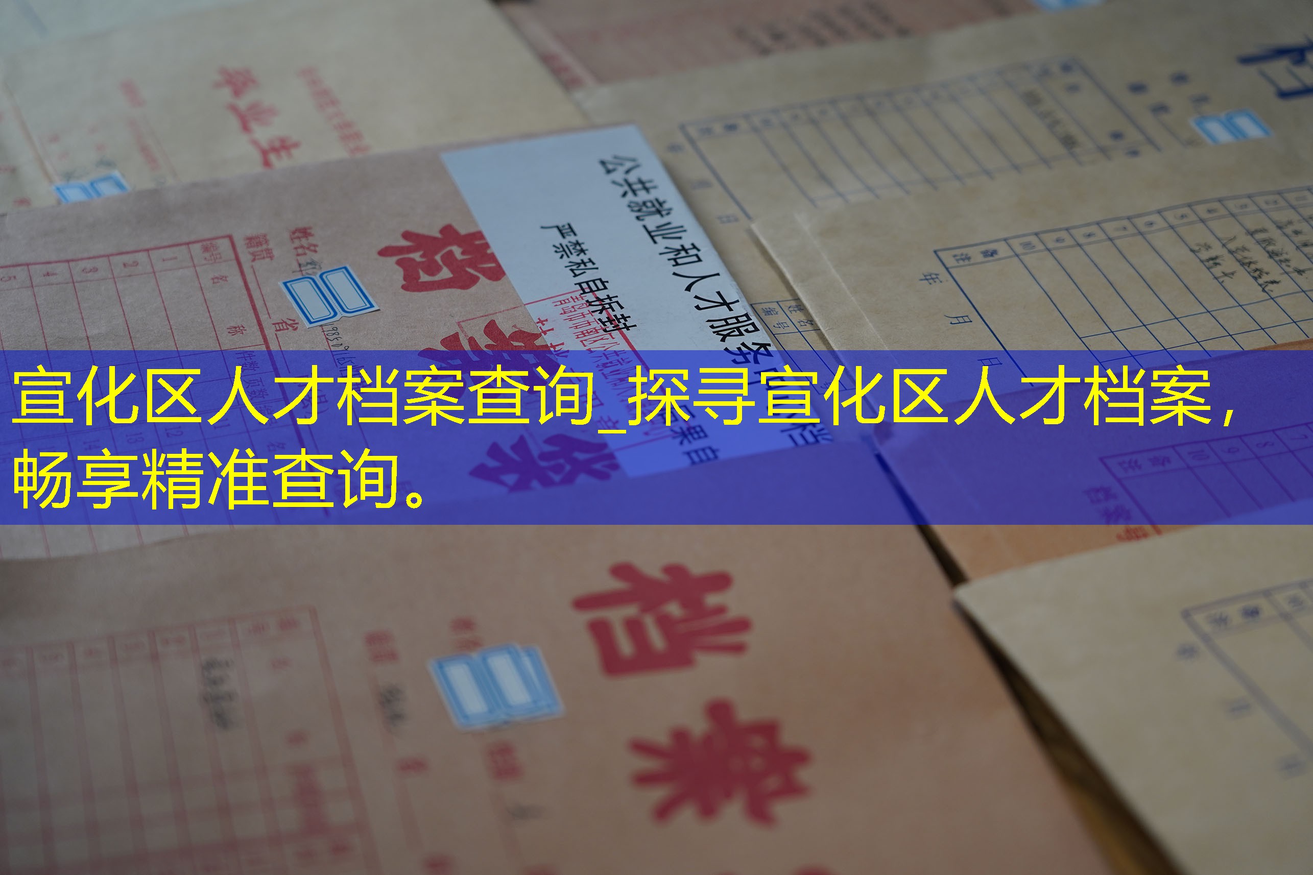 档案查询