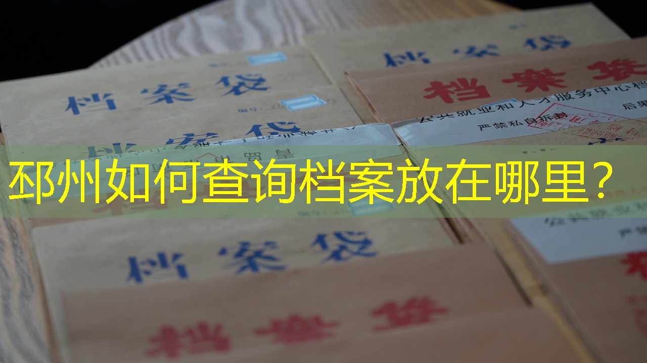 档案查询