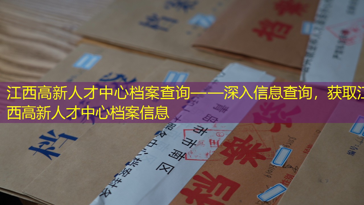 档案查询