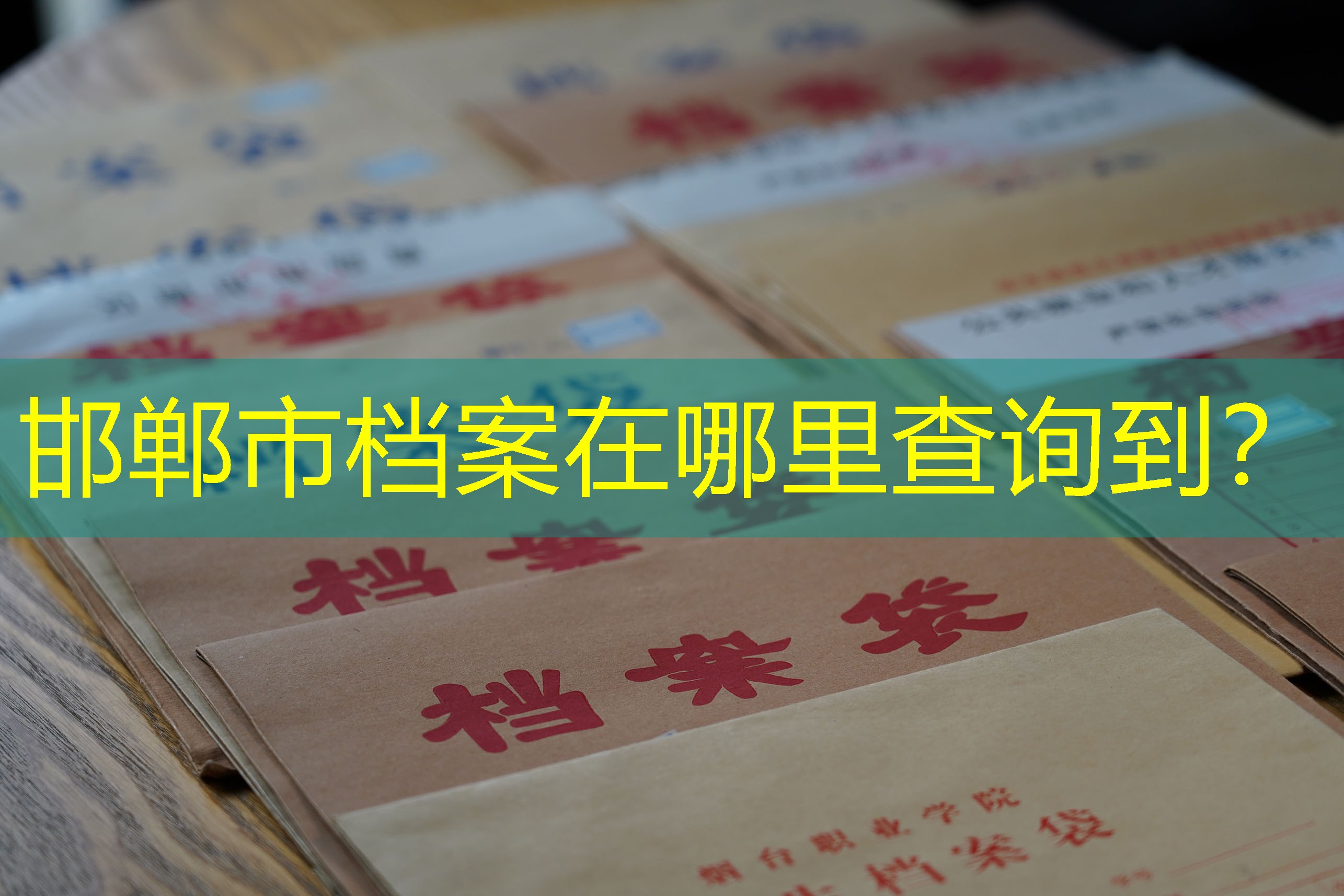 档案查询