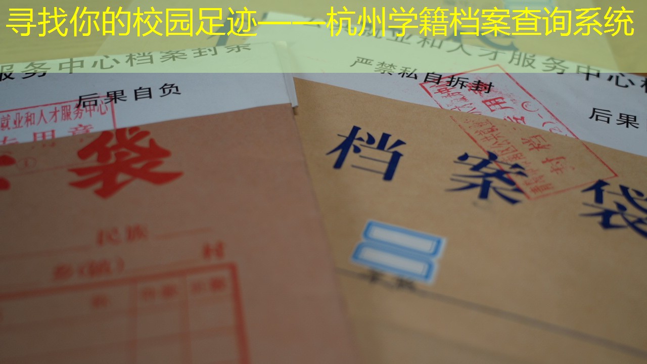 档案查询