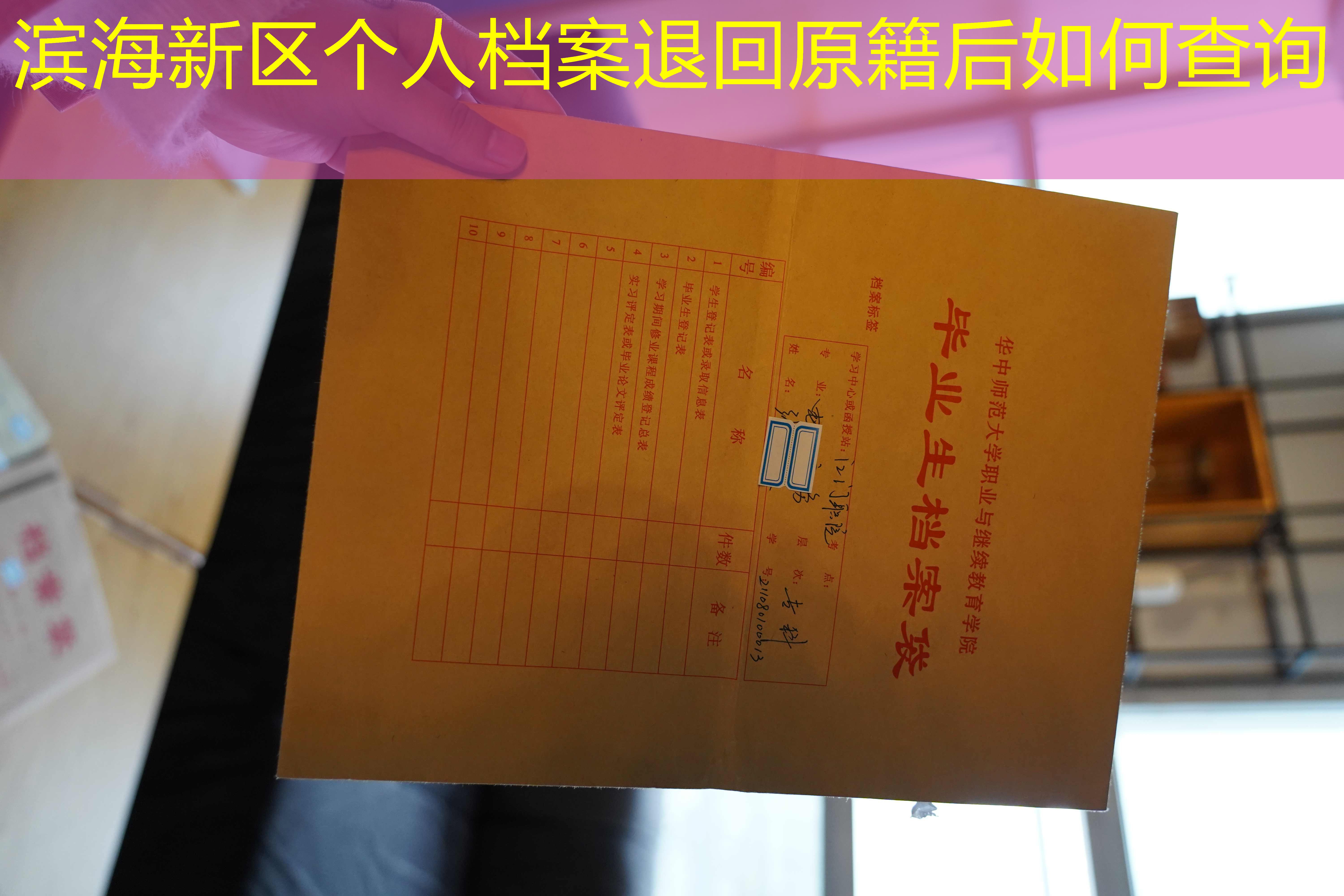档案查询