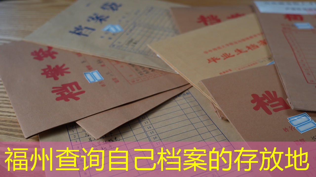 档案查询