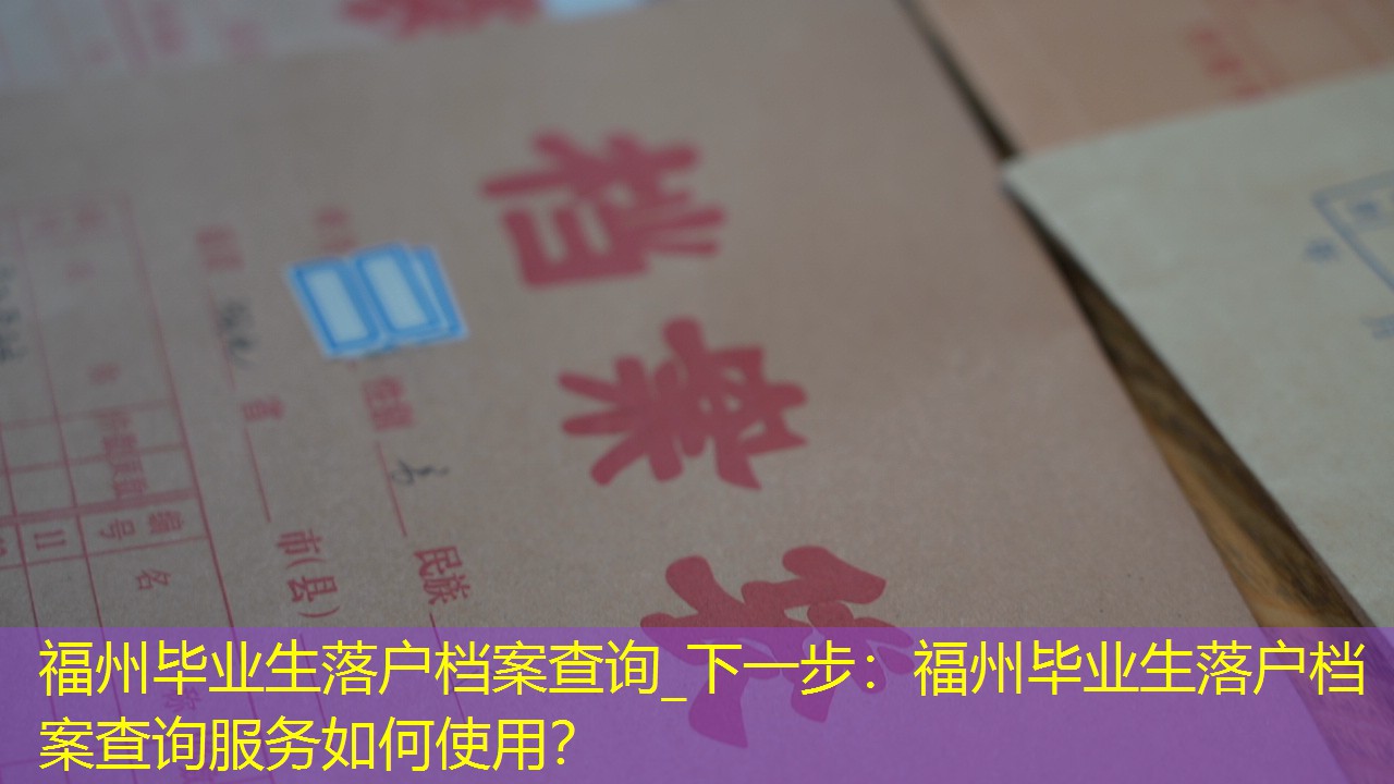 档案查询