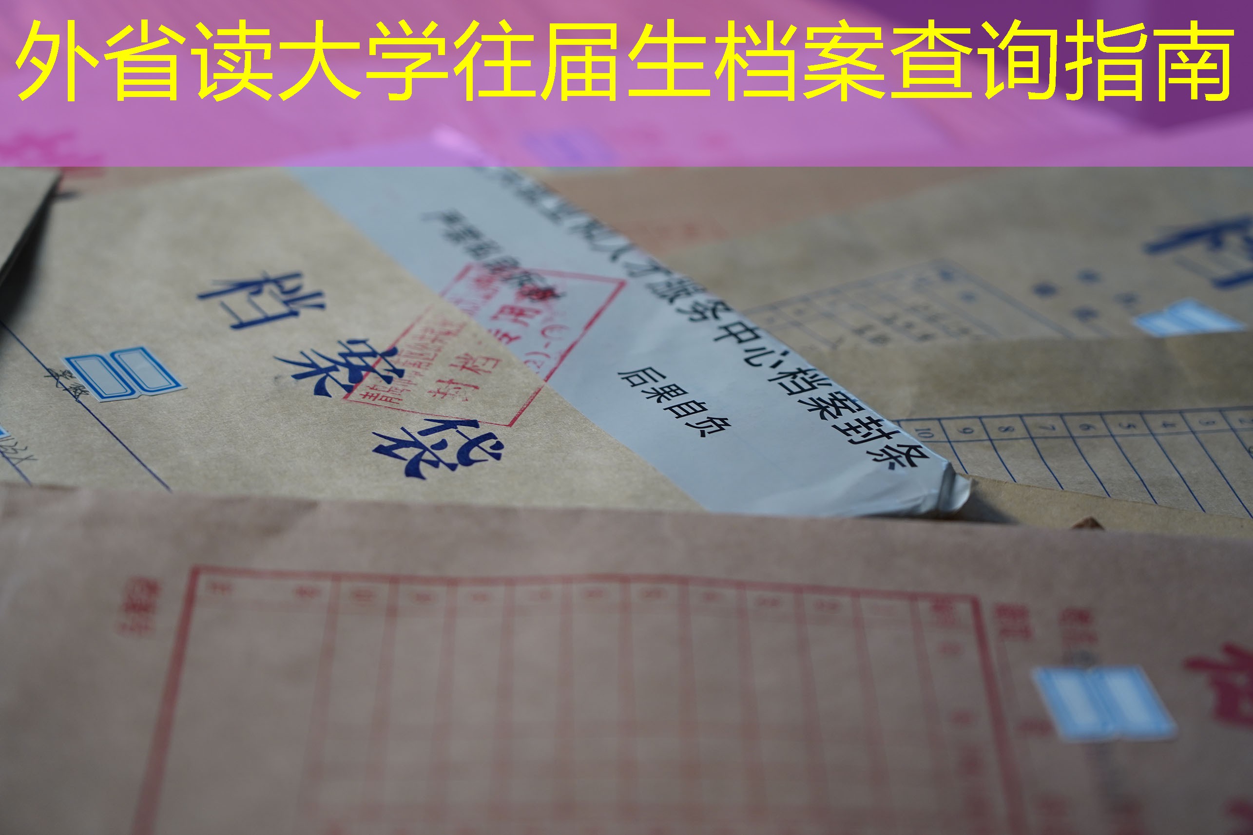 档案查询