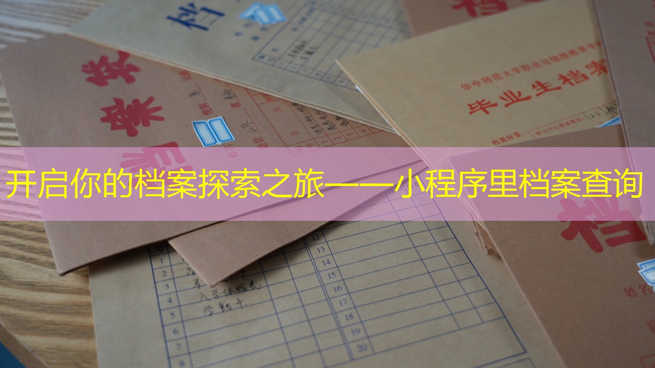 档案查询