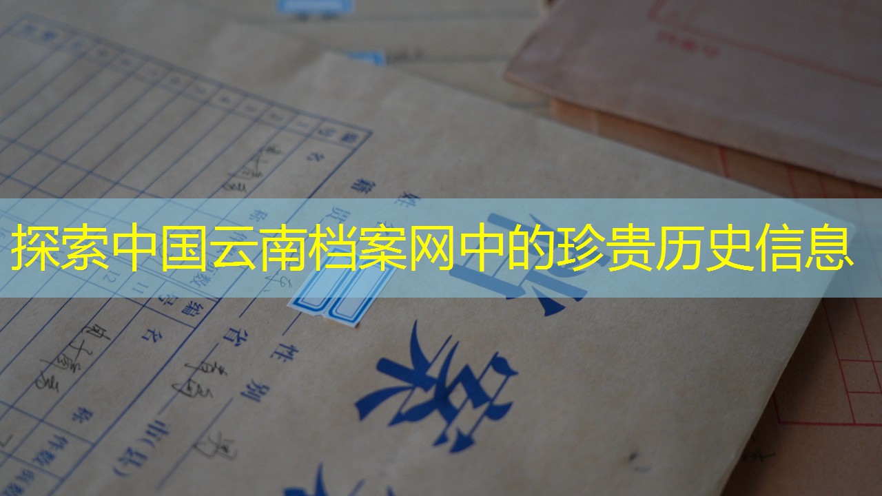 档案查询