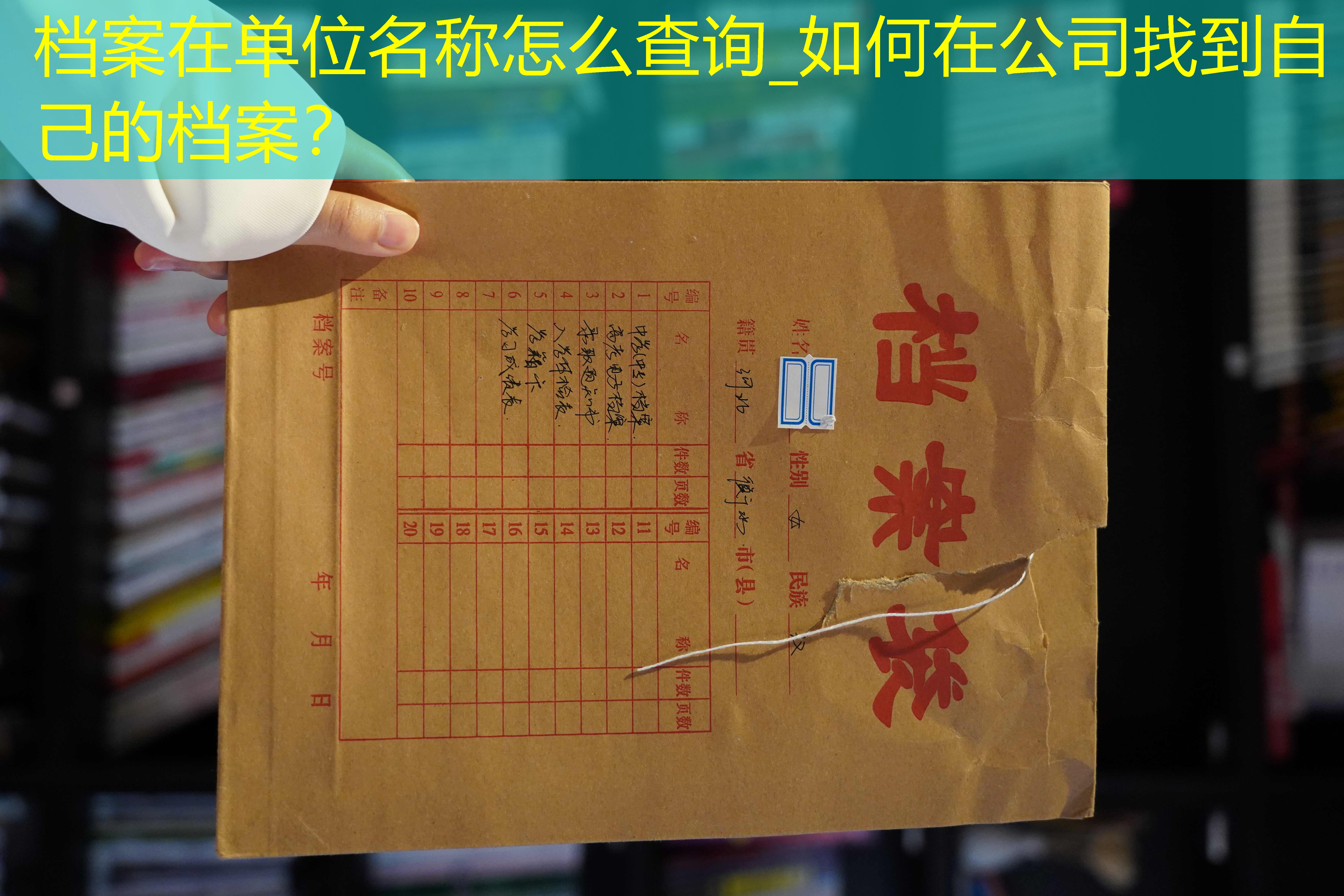 档案查询